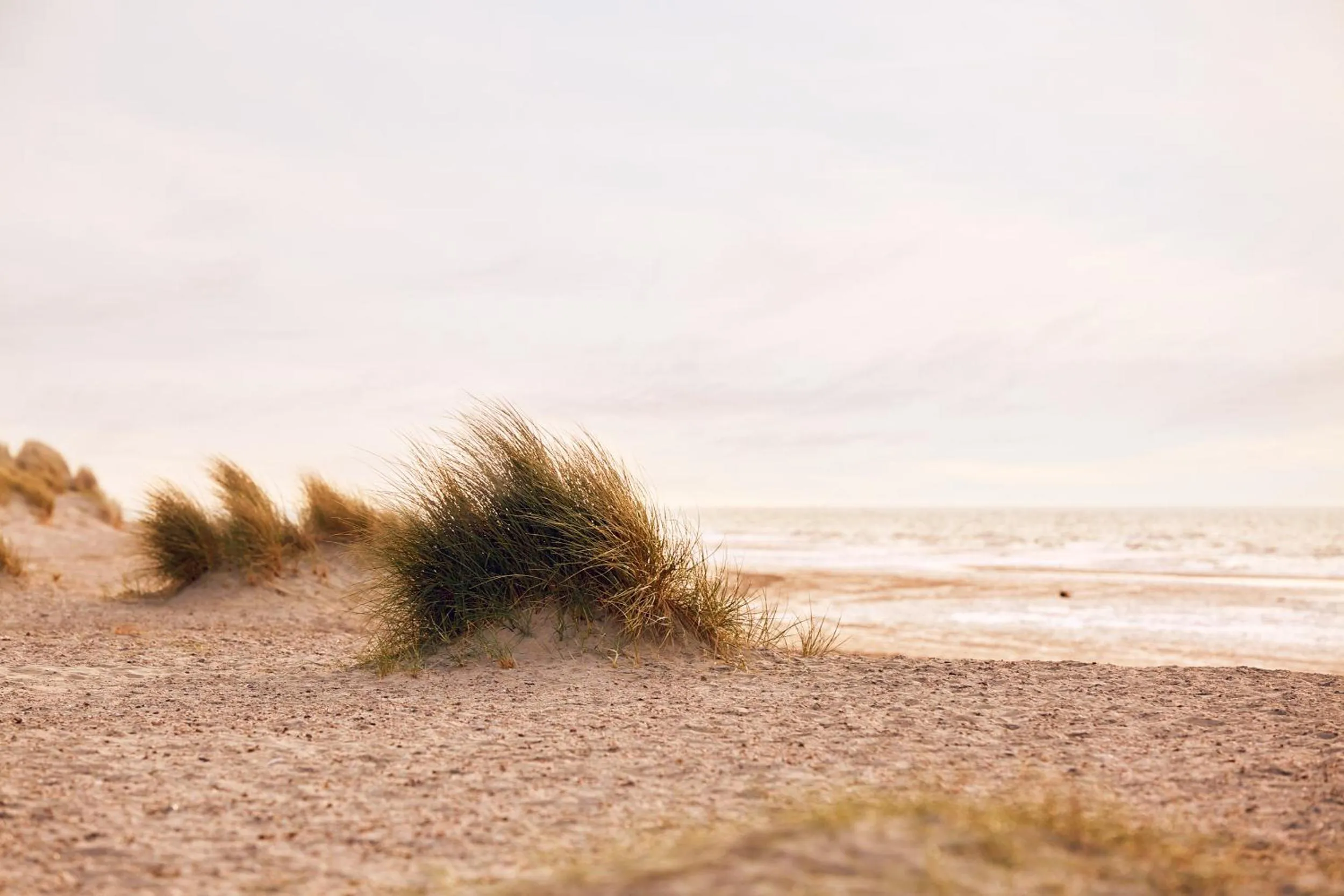Beach in Romantik Badhotel Renesse