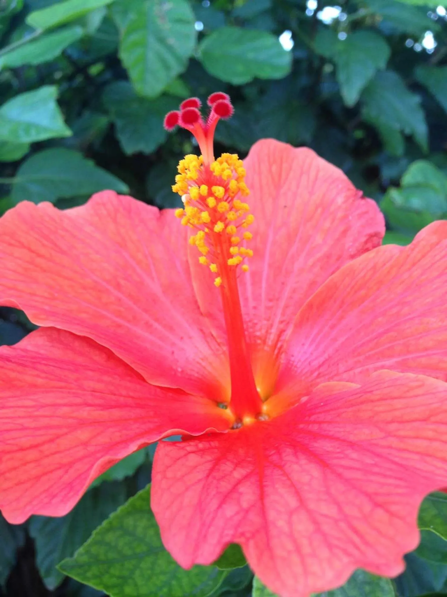 Spring in B&B Le Vele