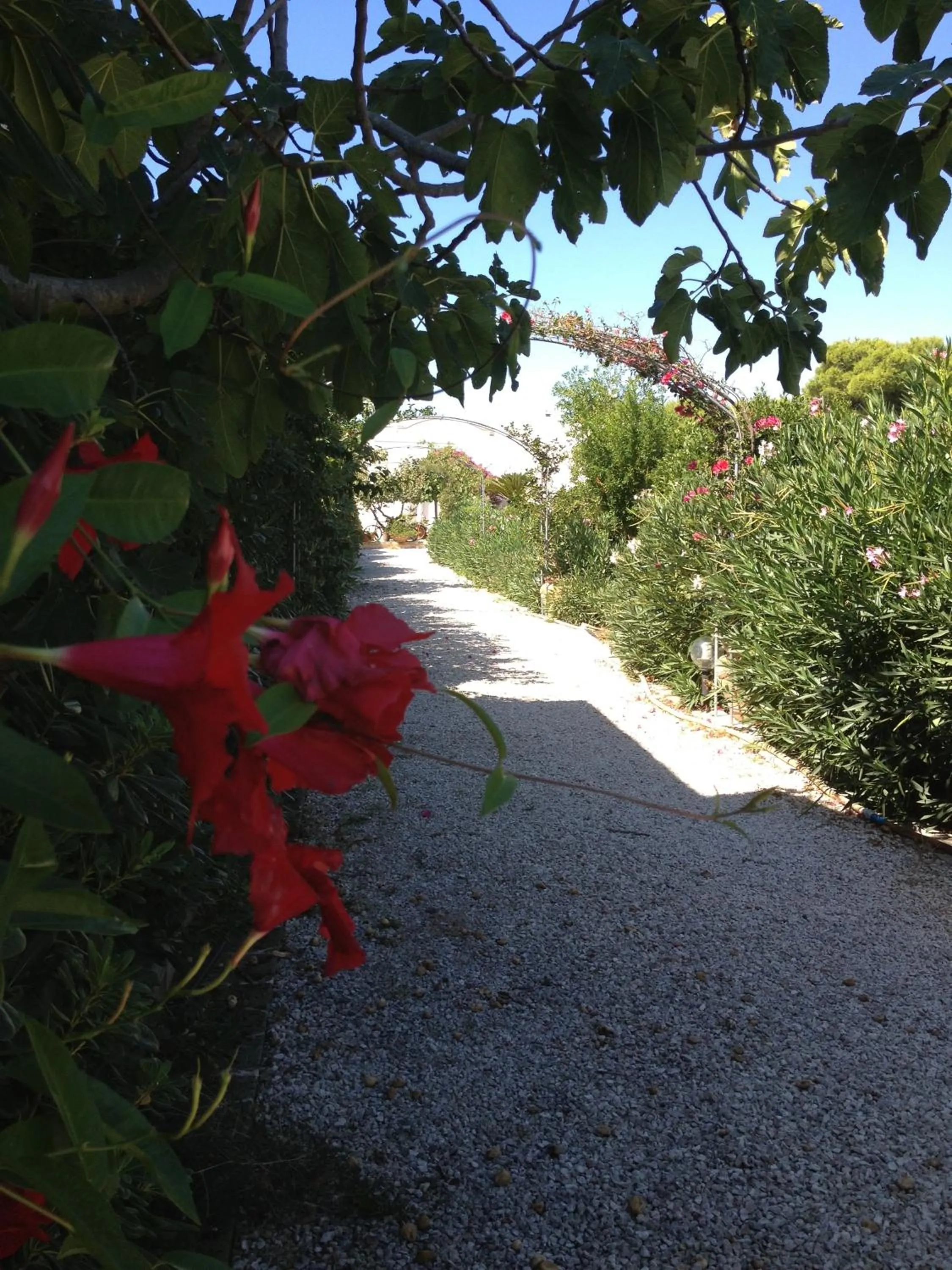 Facade/entrance in B&B Le Vele