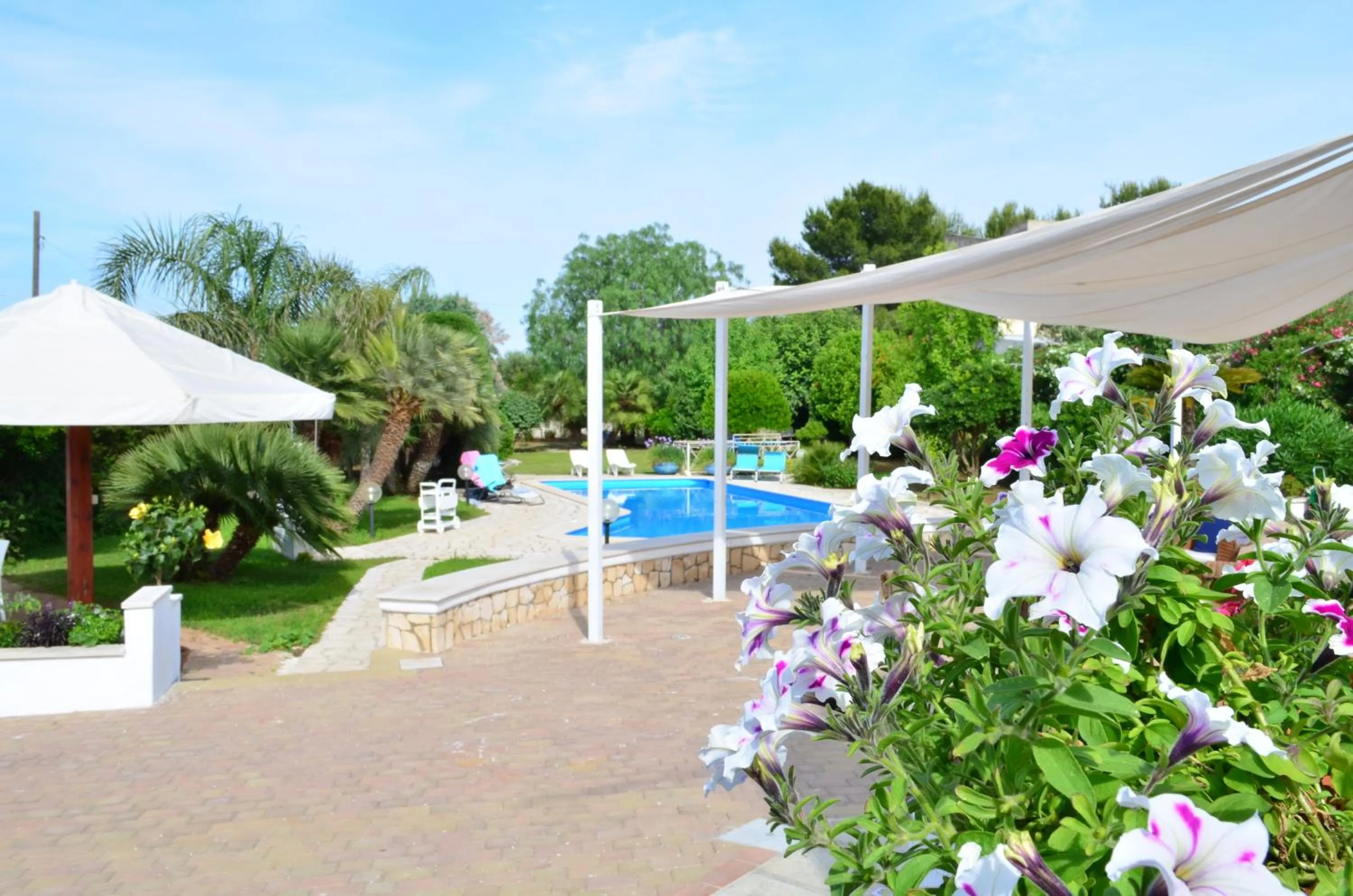 Pool view in B&B Le Vele