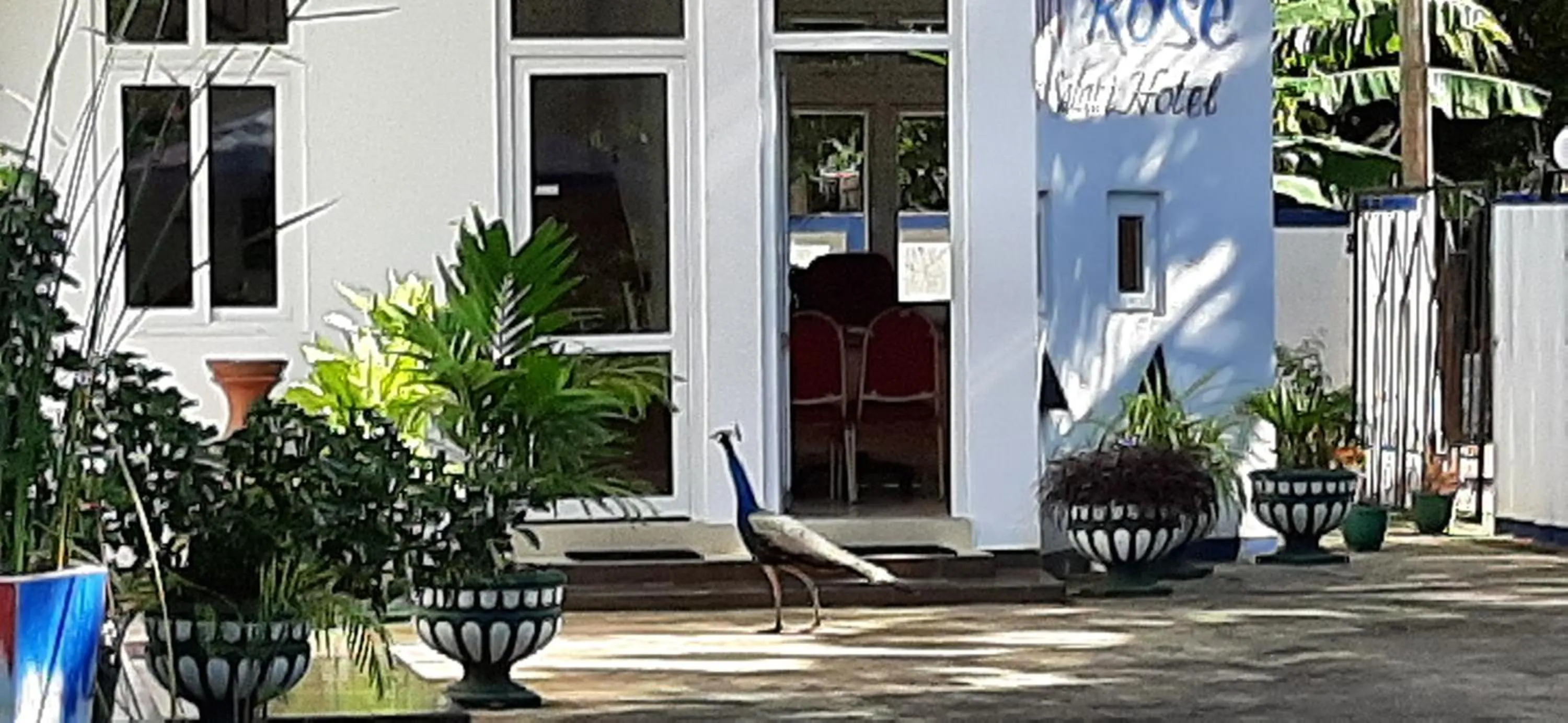 Facade/entrance in Owin Rose Yala Safari Hotel