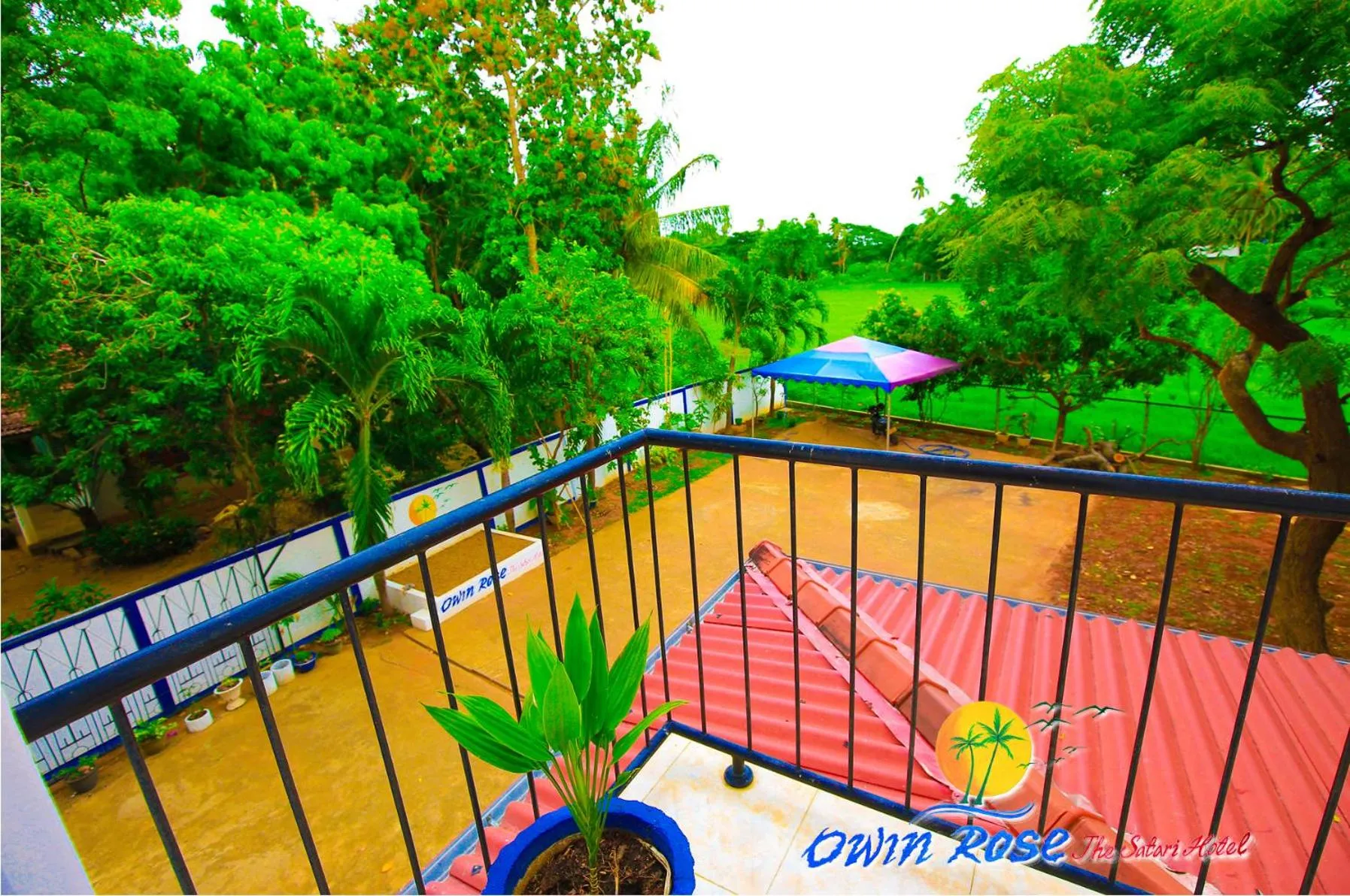 Garden view in Owin Rose Yala Safari Hotel