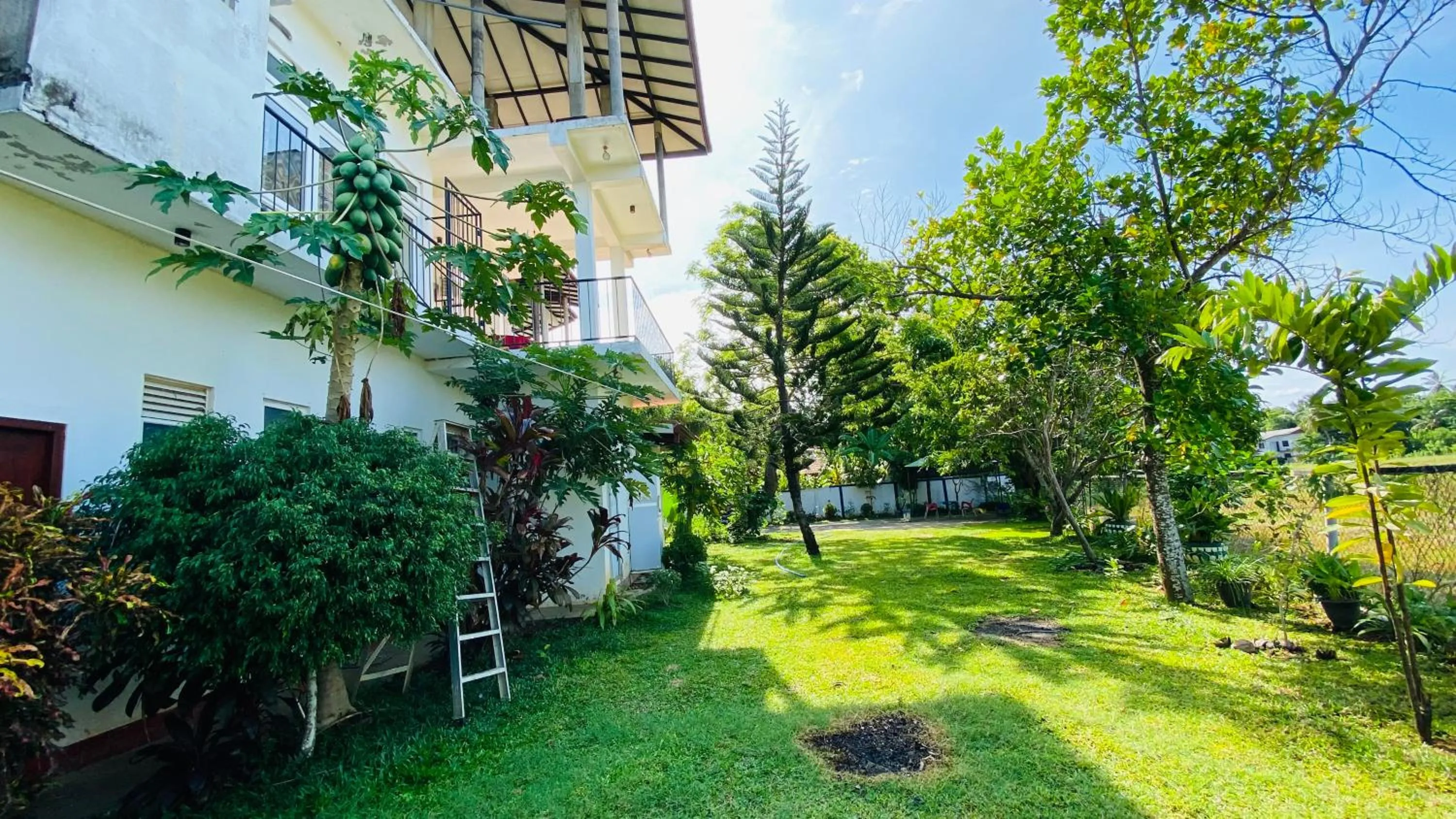 Garden in Owin Rose Yala Safari Hotel
