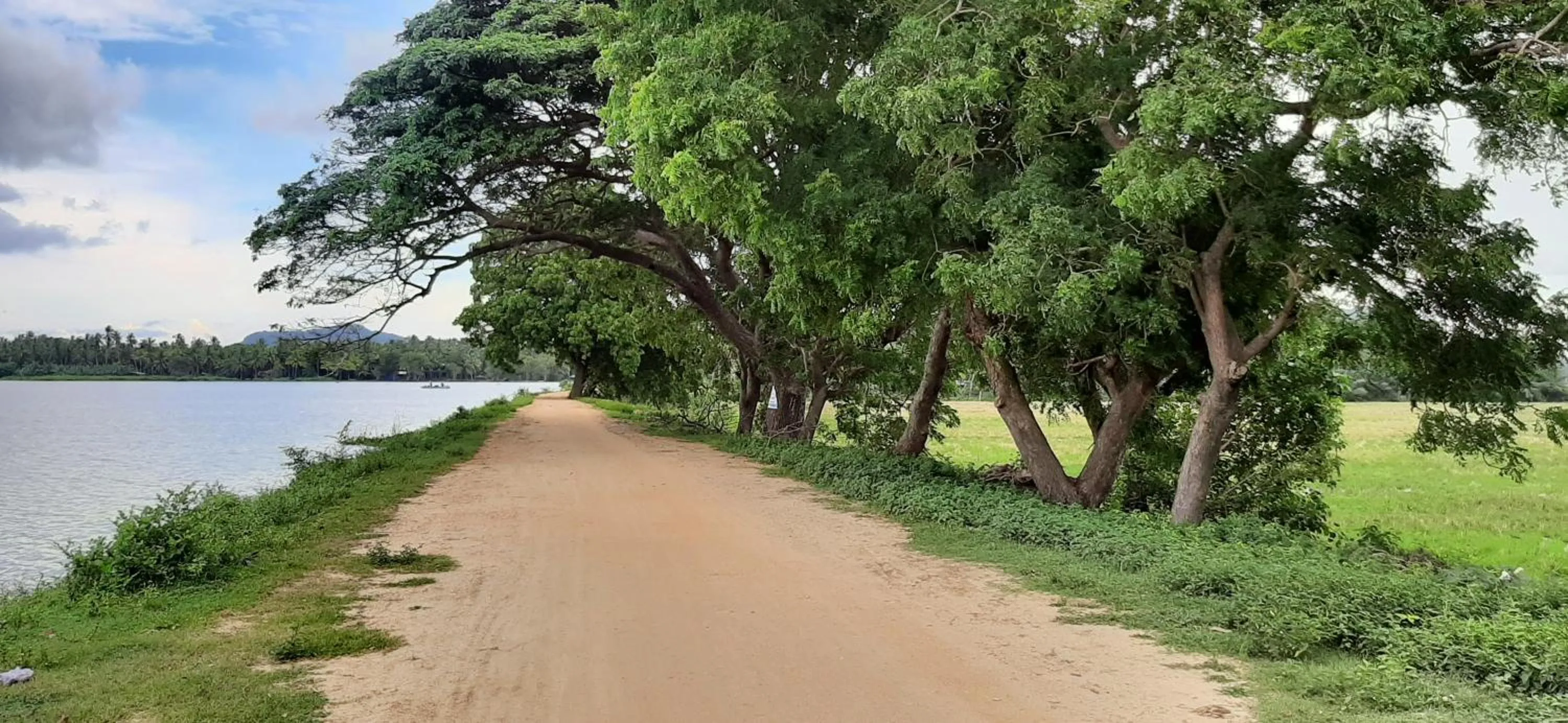 Natural landscape in Owin Rose Yala Safari Hotel