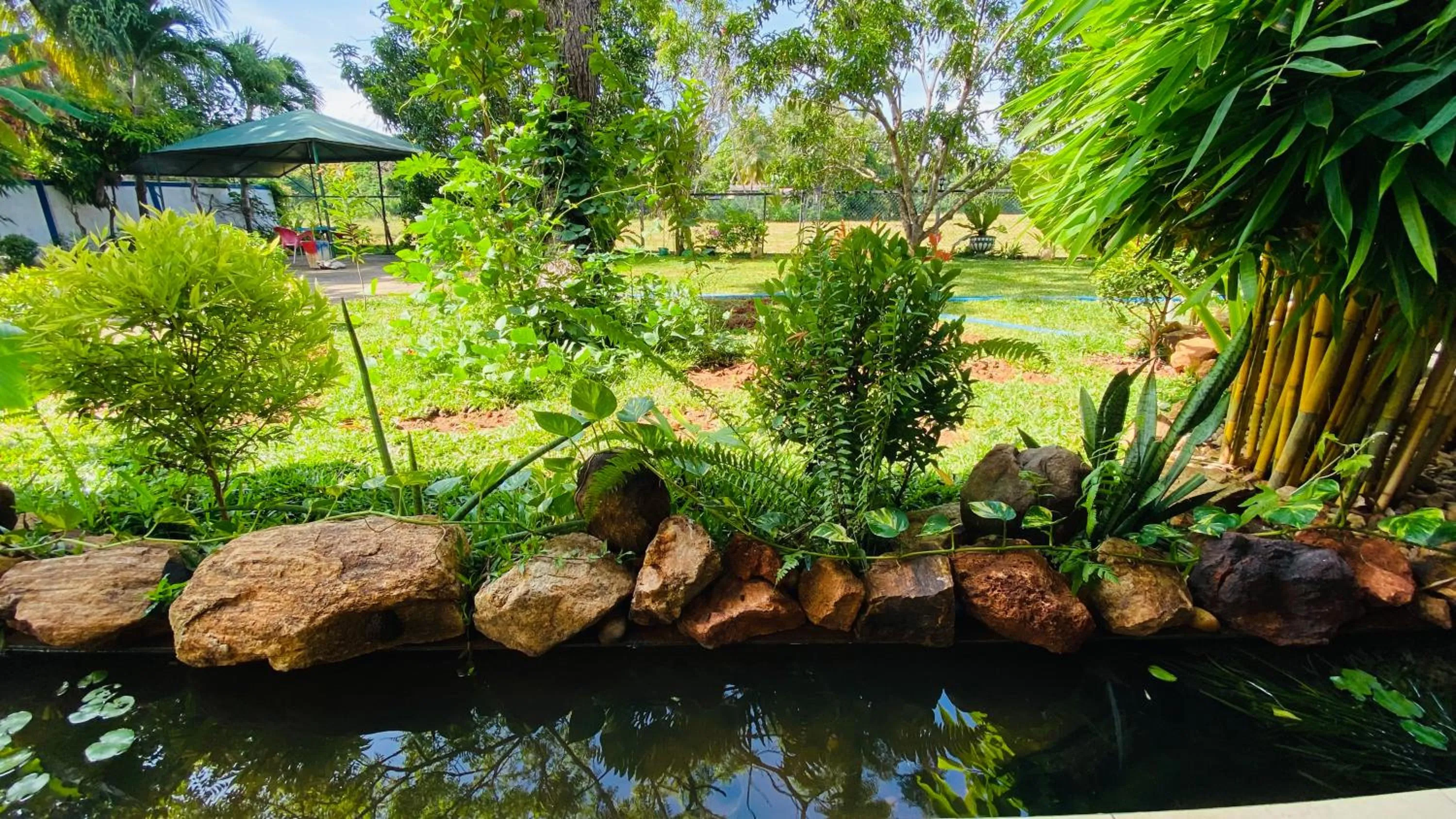 Garden view in Owin Rose Yala Safari Hotel