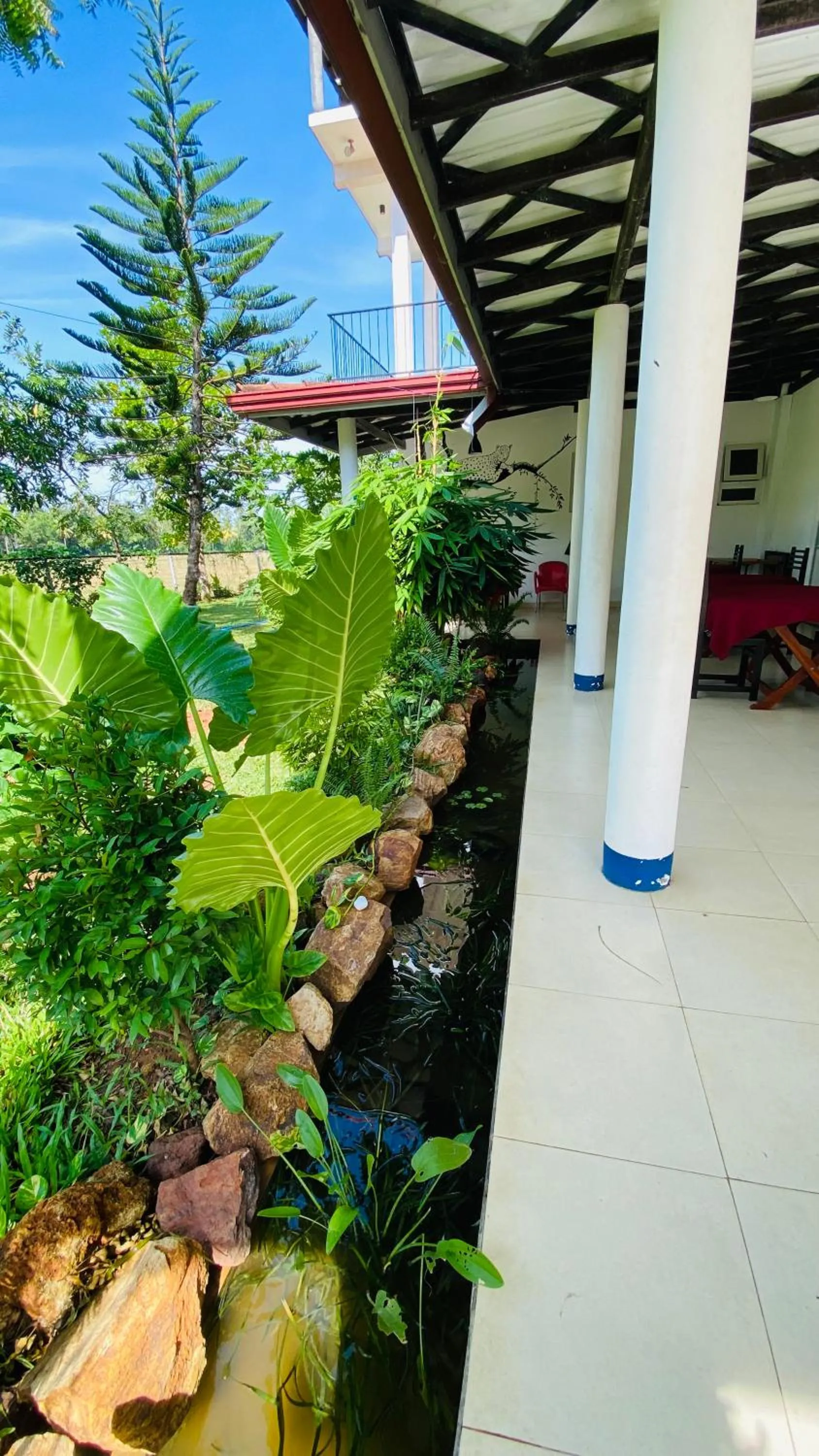 Garden in Owin Rose Yala Safari Hotel
