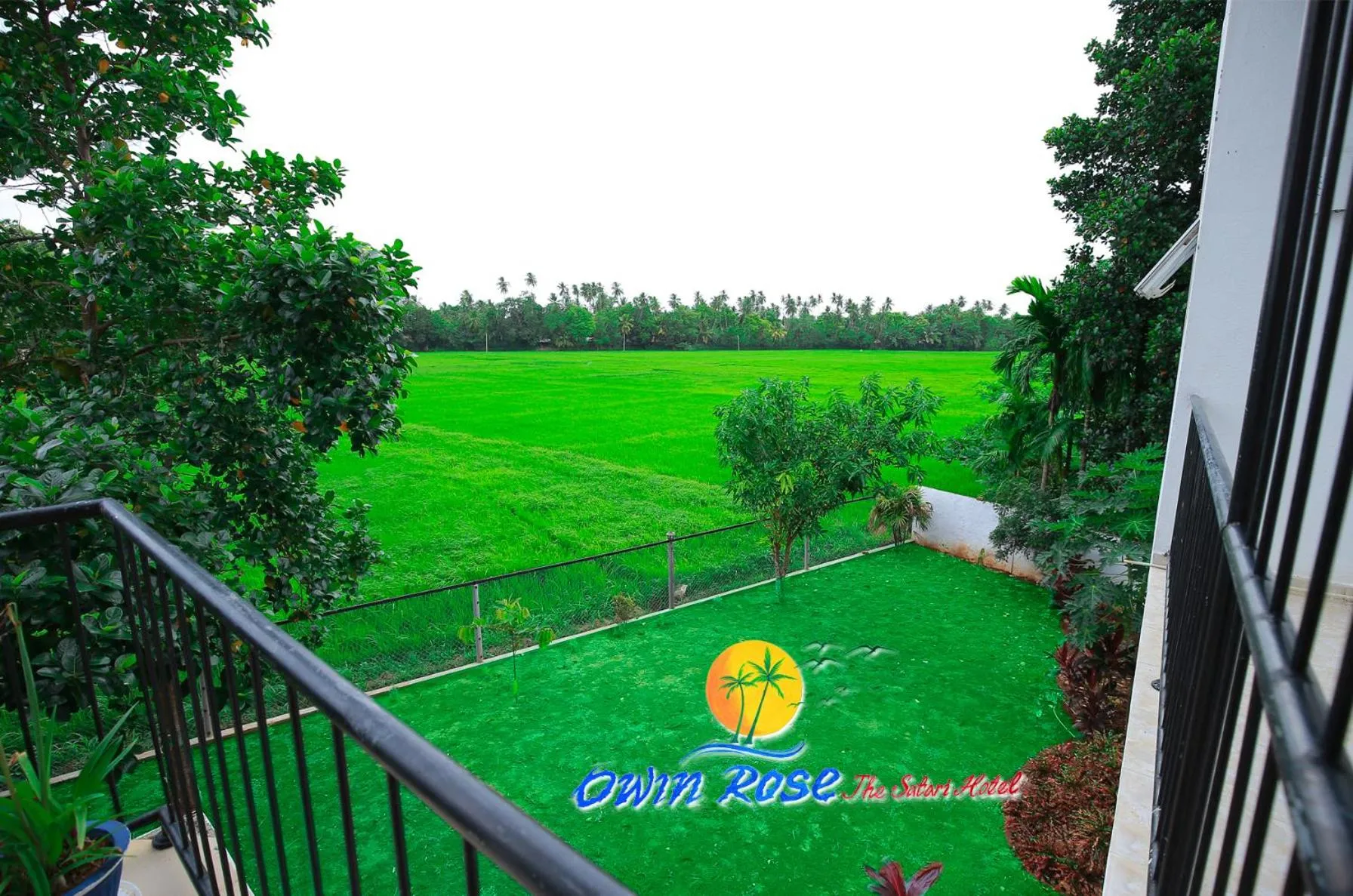 Natural landscape in Owin Rose Yala Safari Hotel