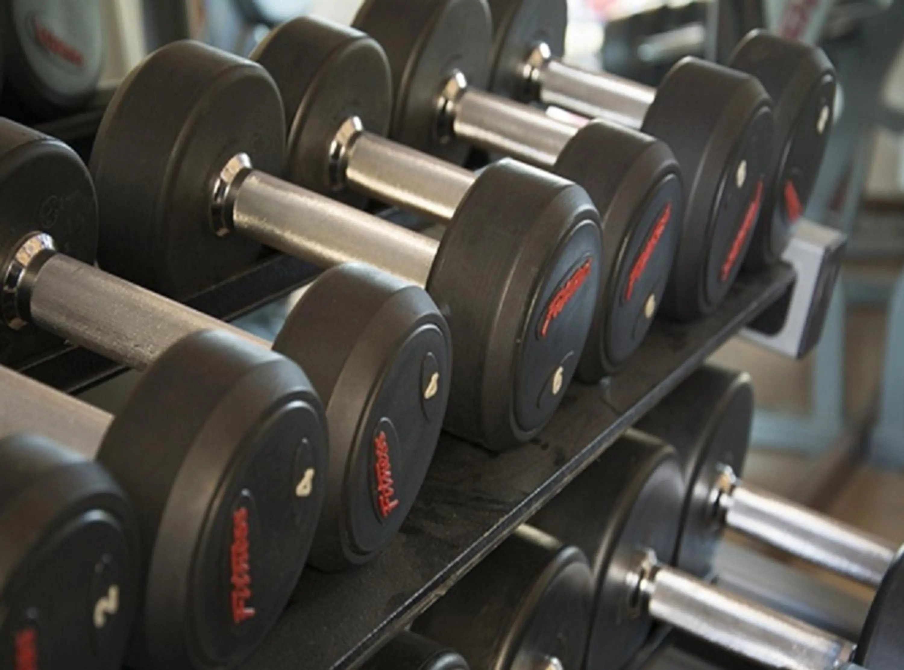 Other in Mughal Suites