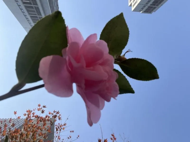 GreenTree Eastern Hotel Yiwu International Trade City