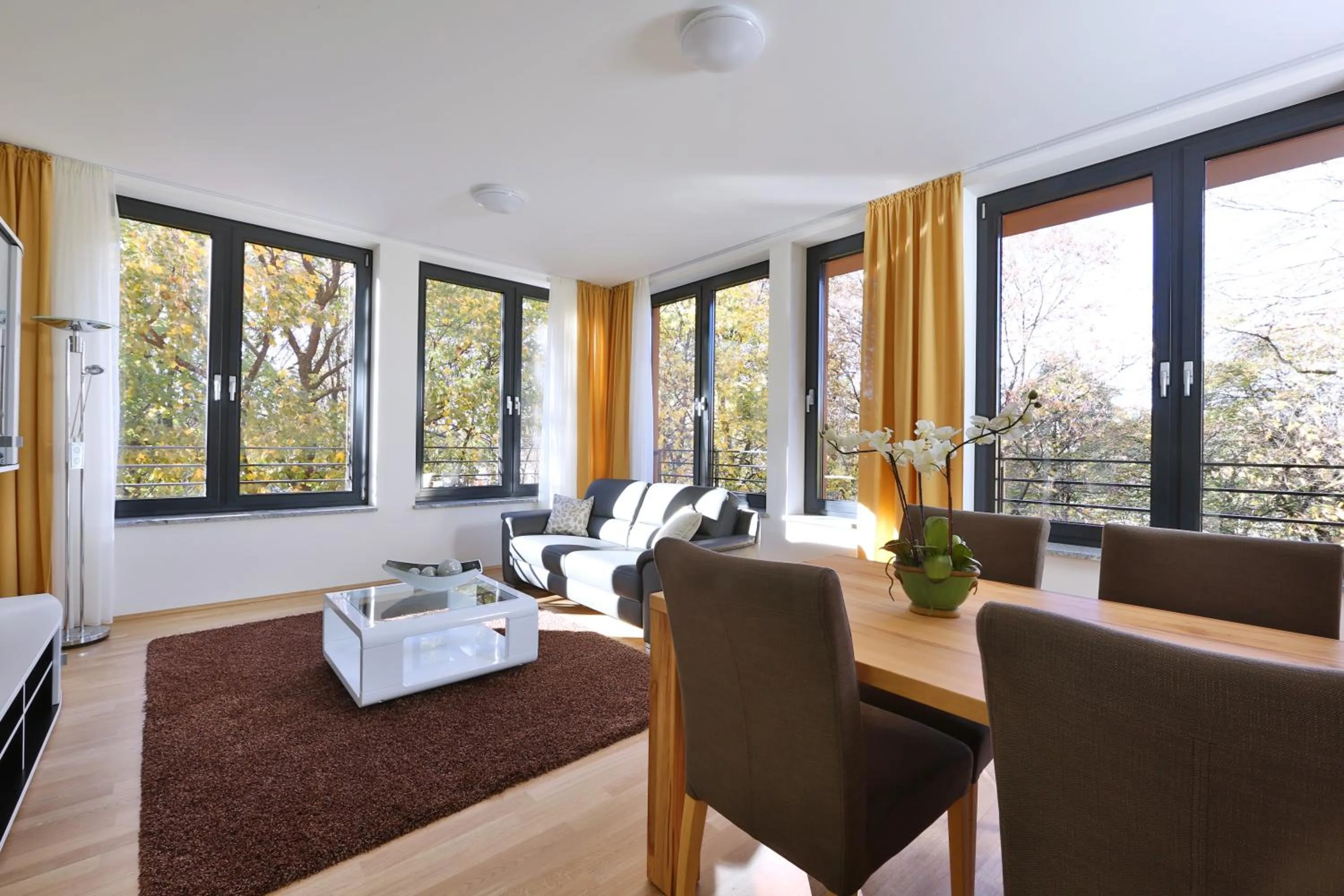 TV and multimedia in Business Suiten