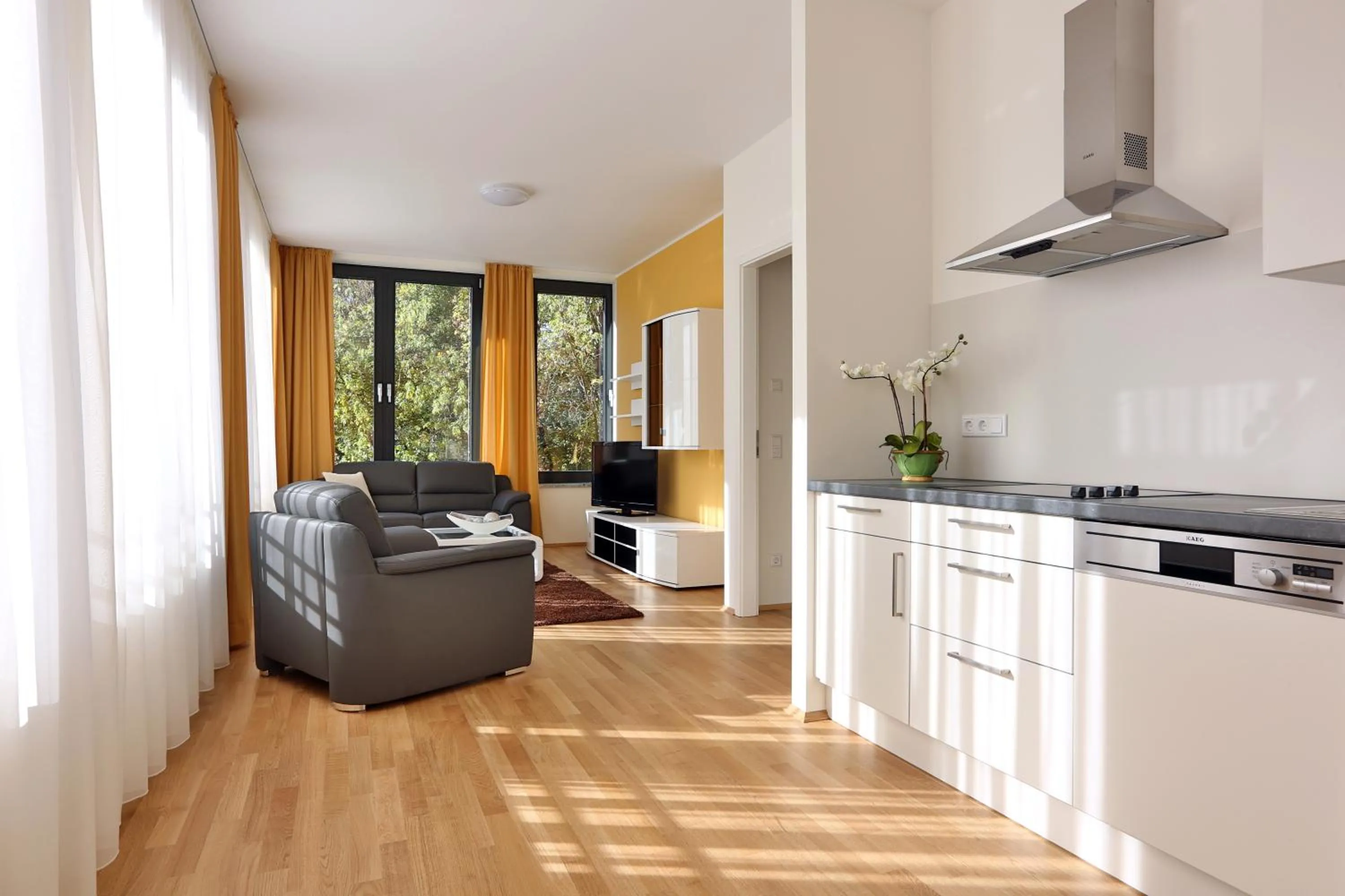 TV and multimedia in Business Suiten