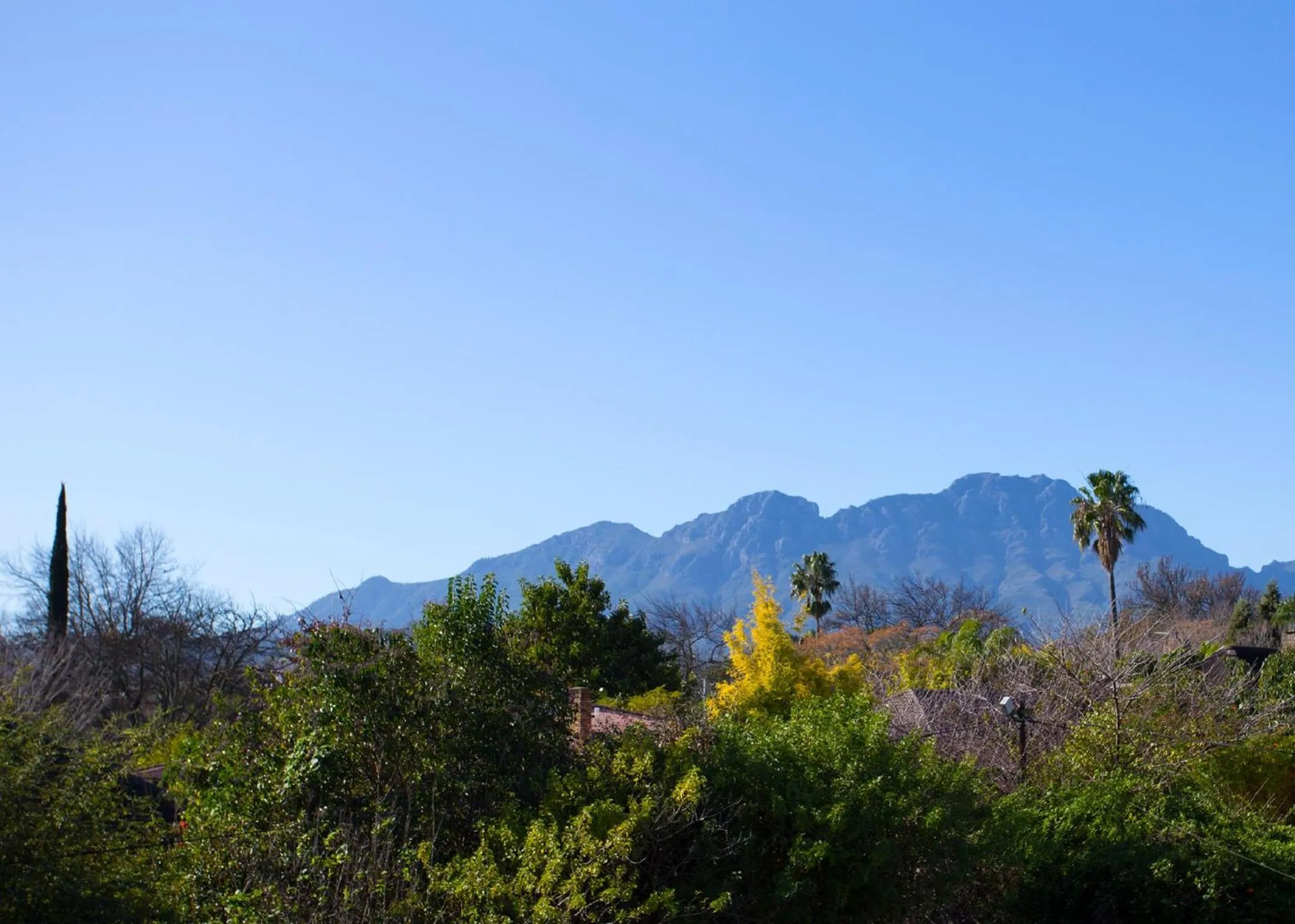 Mountain view in 10 Alexander B&B