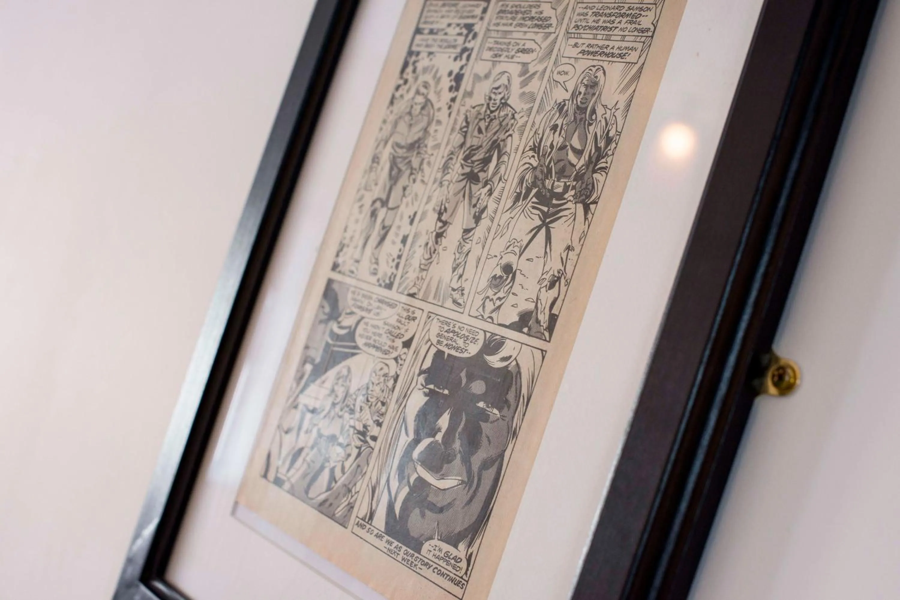 Decorative detail in Dog and Whistle Pub