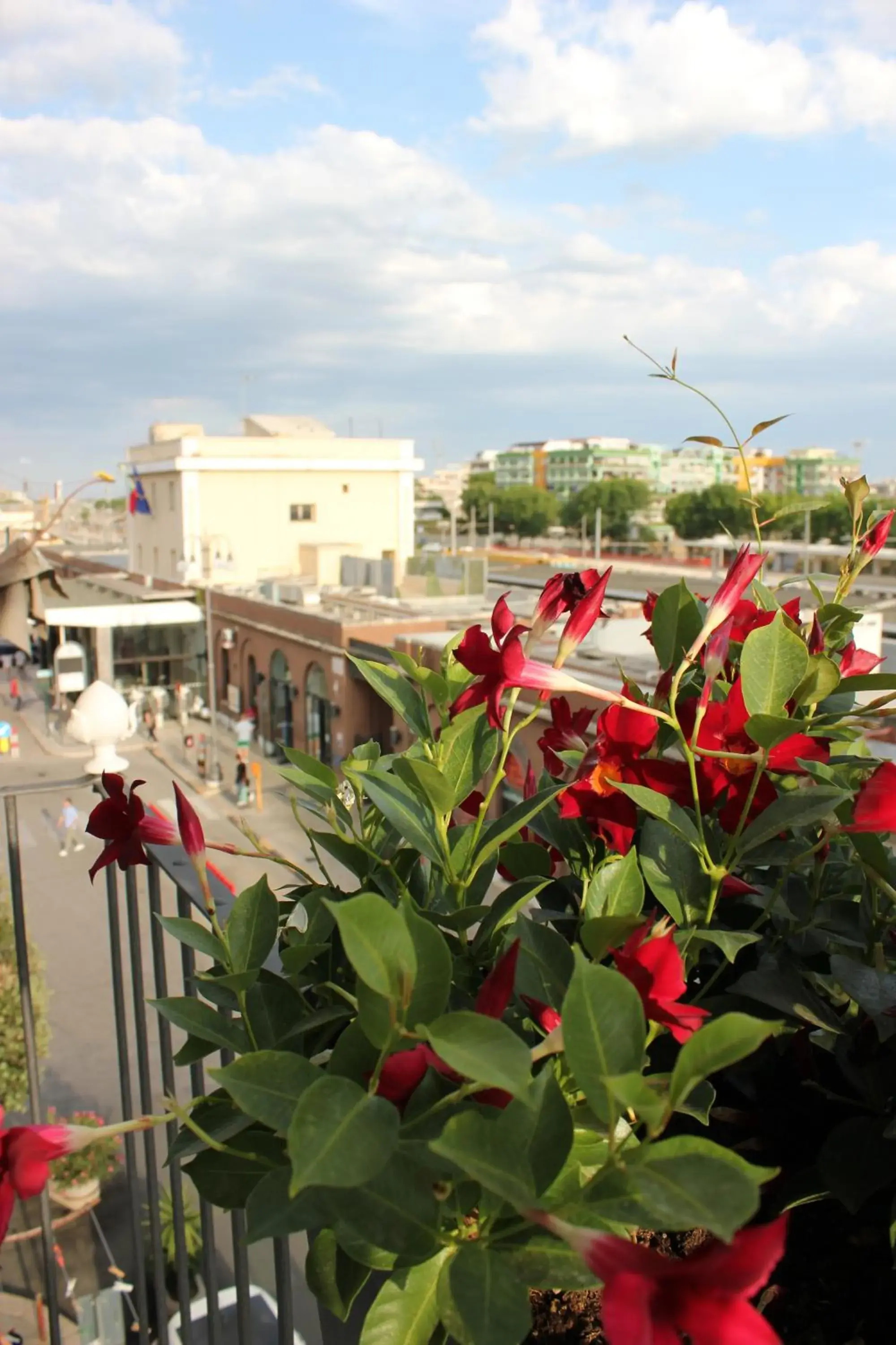 Superior Double Room - single occupancy in Binario1 Rooms Superior Double Room - single occupancy in Binario1 Rooms