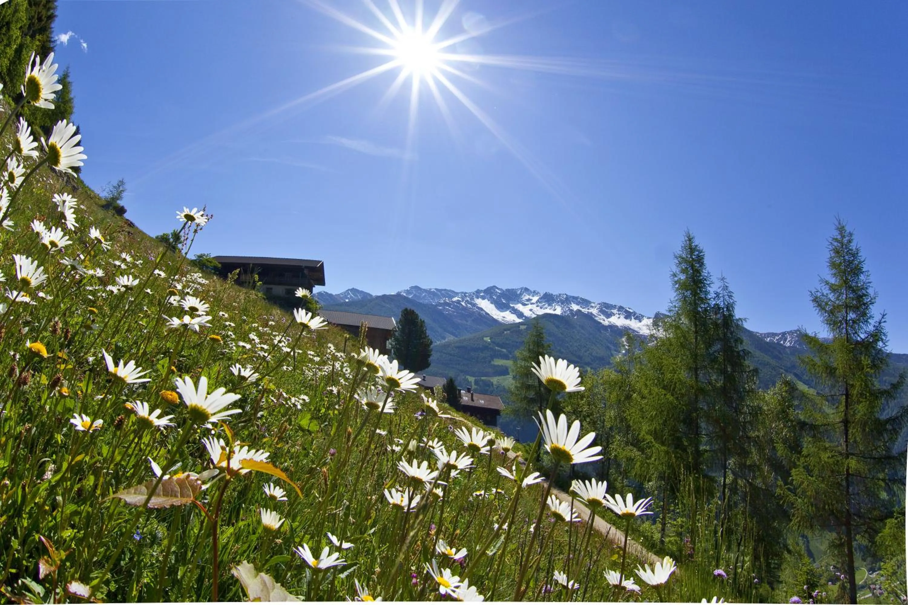 Area and facilities in Hotel Mühlenerhof