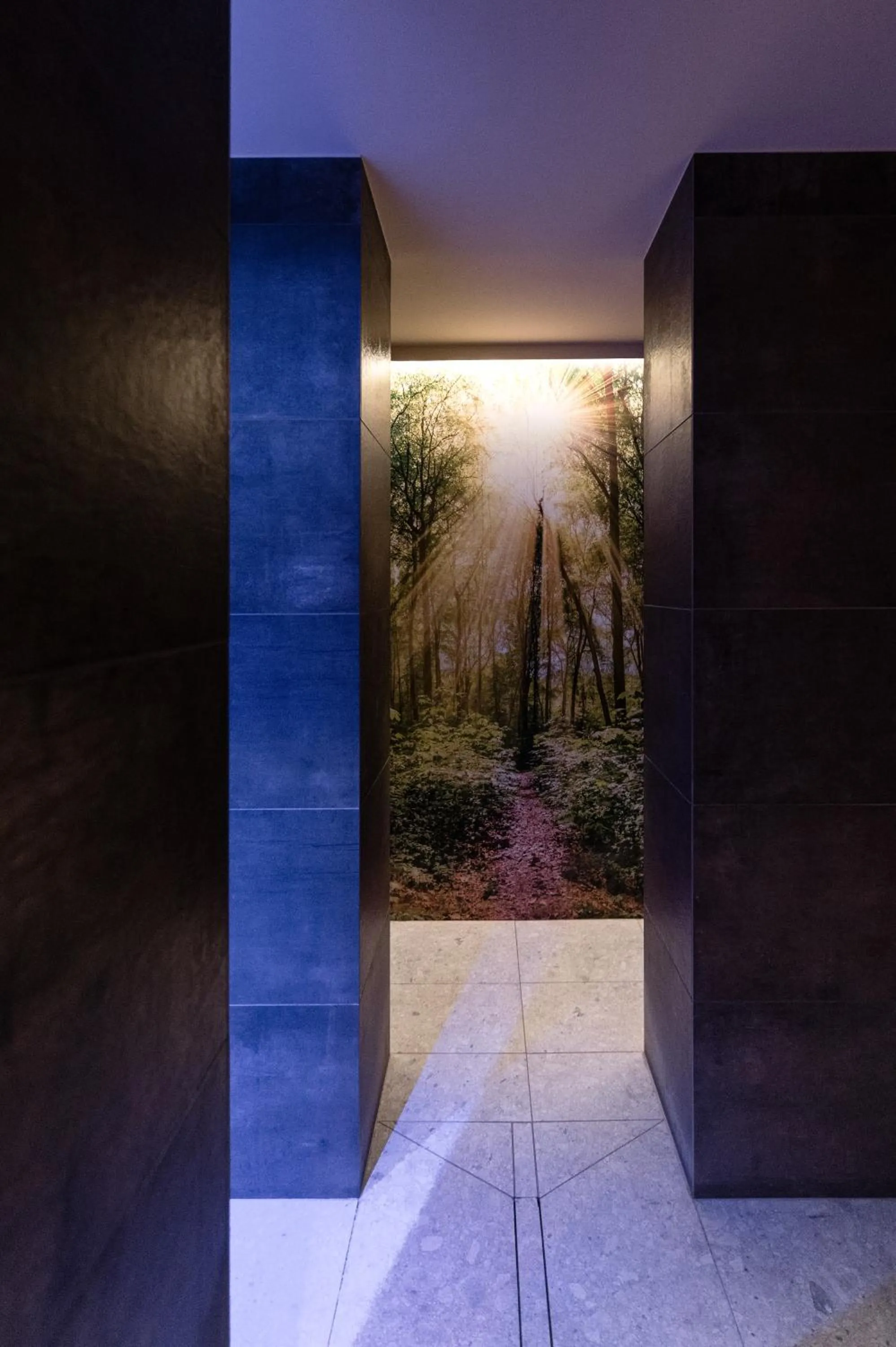 Sauna in Hotel Mühlenerhof