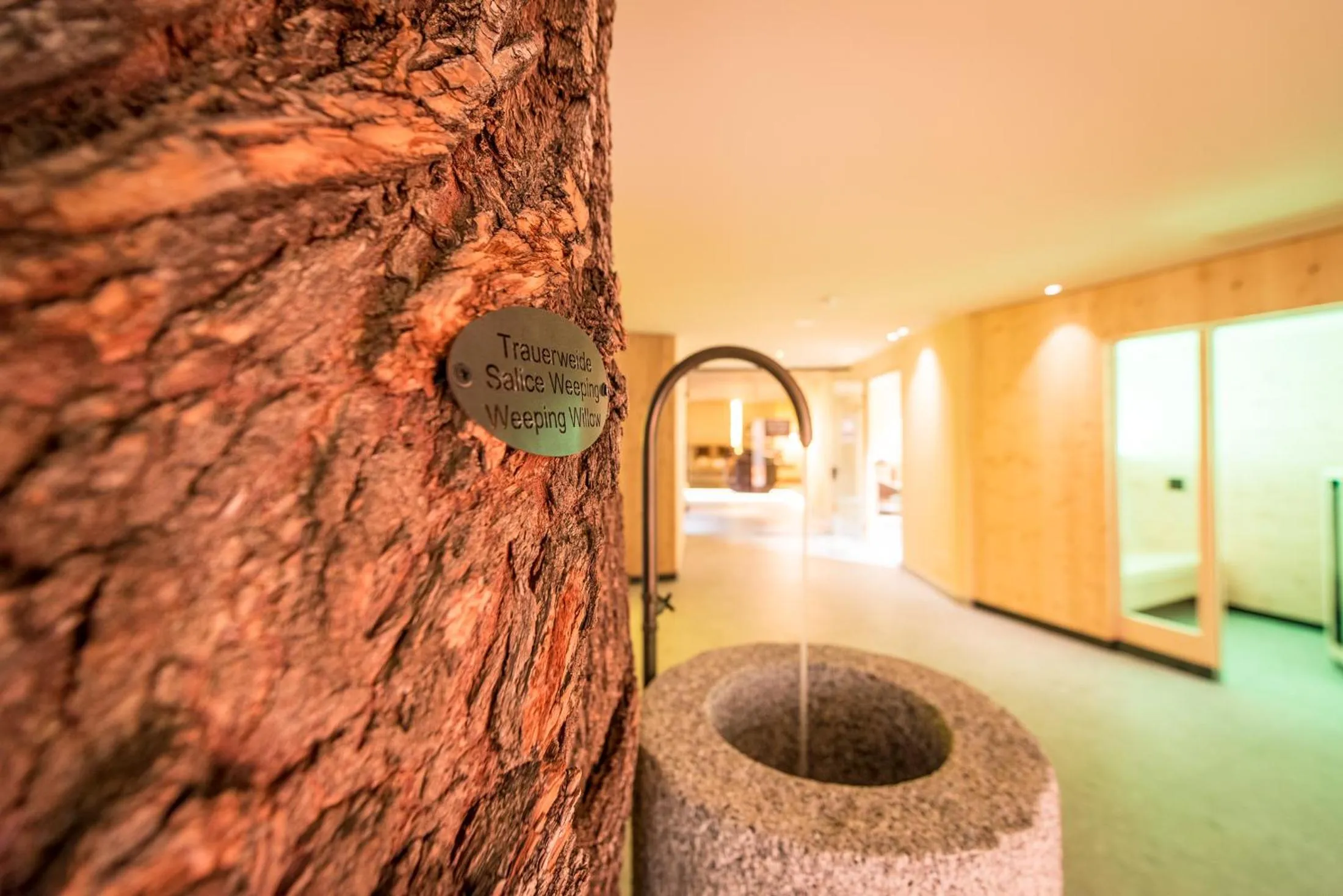 Sauna in Hotel Mühlenerhof