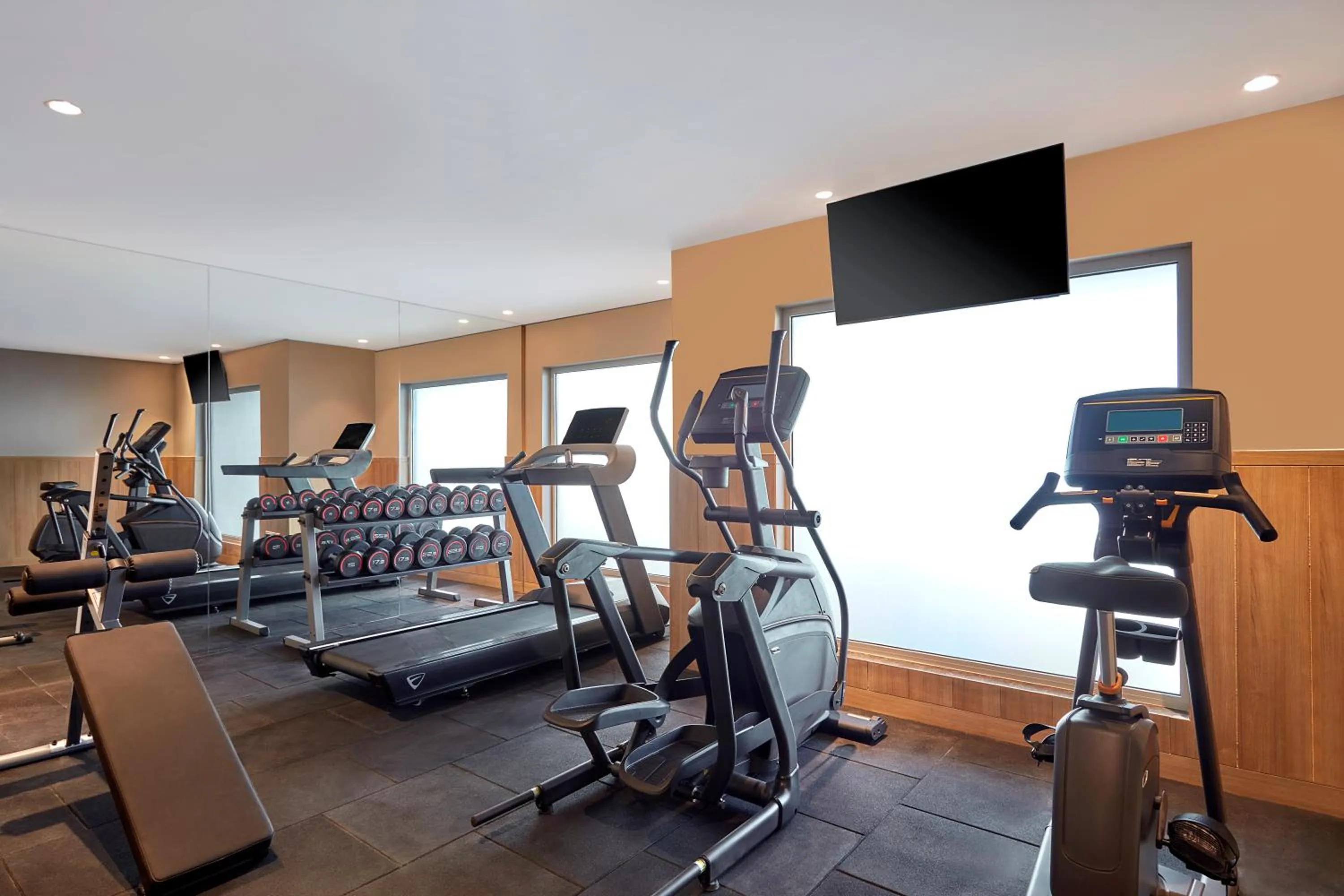 Fitness centre/facilities in Holiday Inn Express Bengaluru Bommasandra by IHG