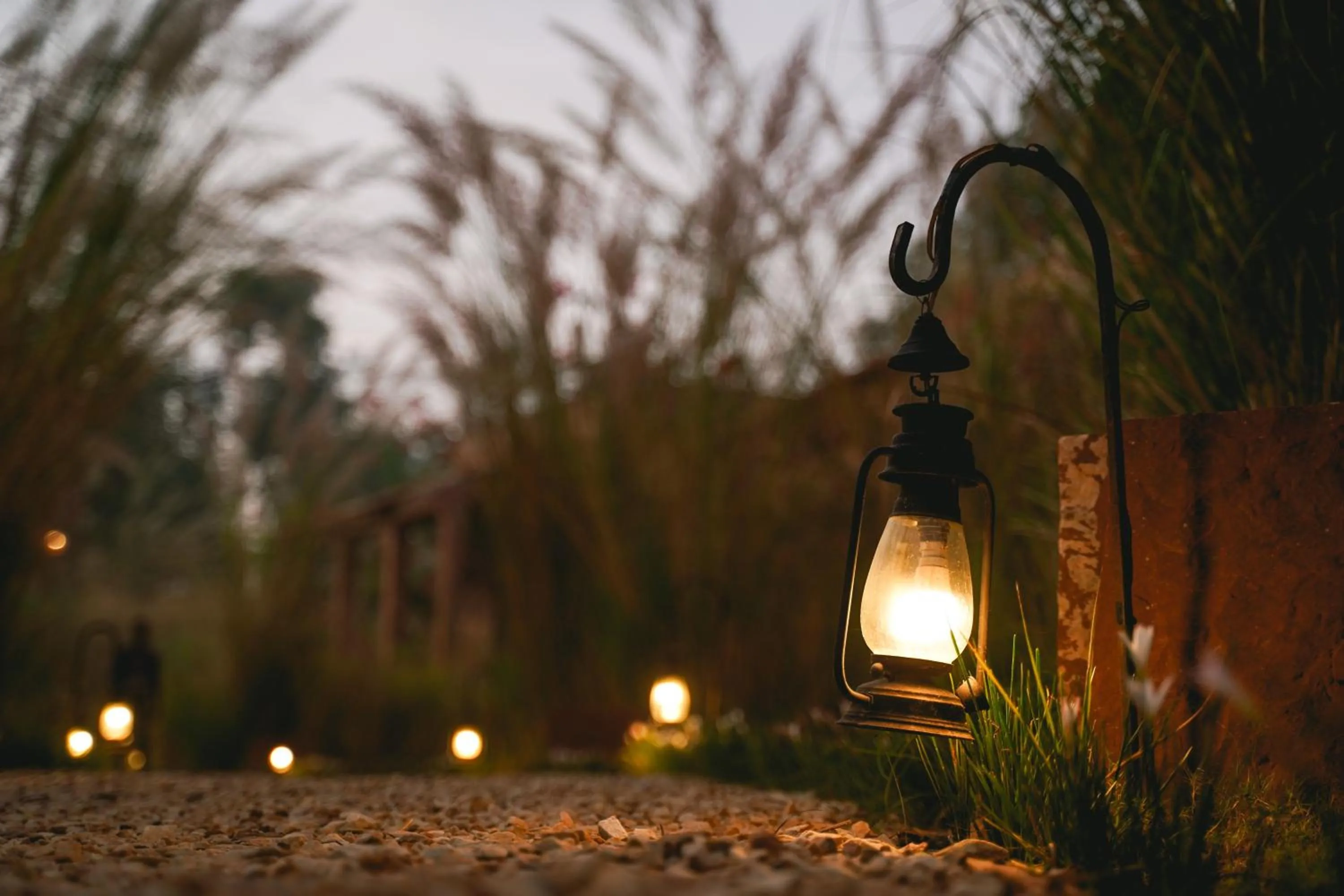 Garden view in Narsingh Bagh