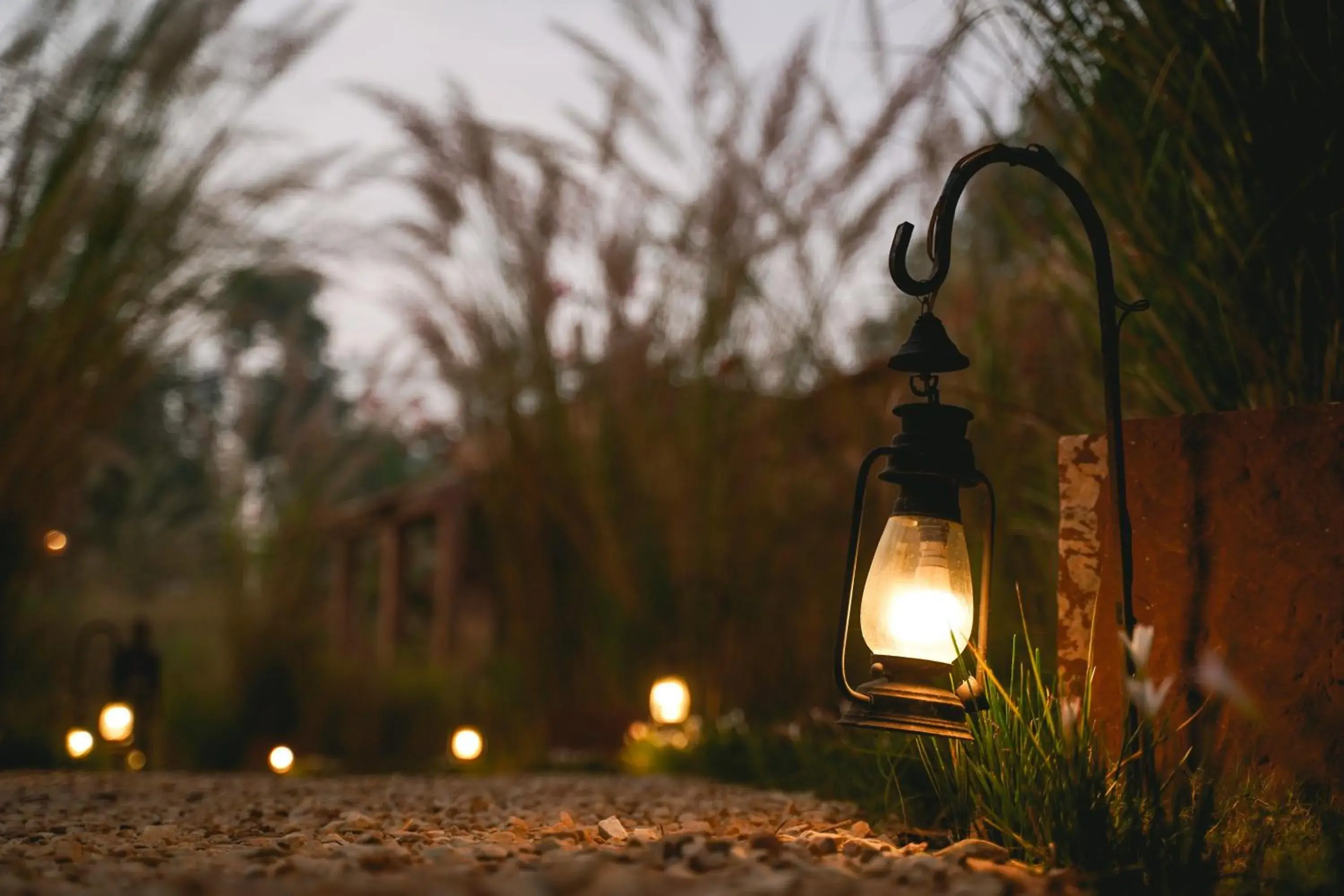 Garden view in Narsingh Bagh Garden view in Narsingh Bagh