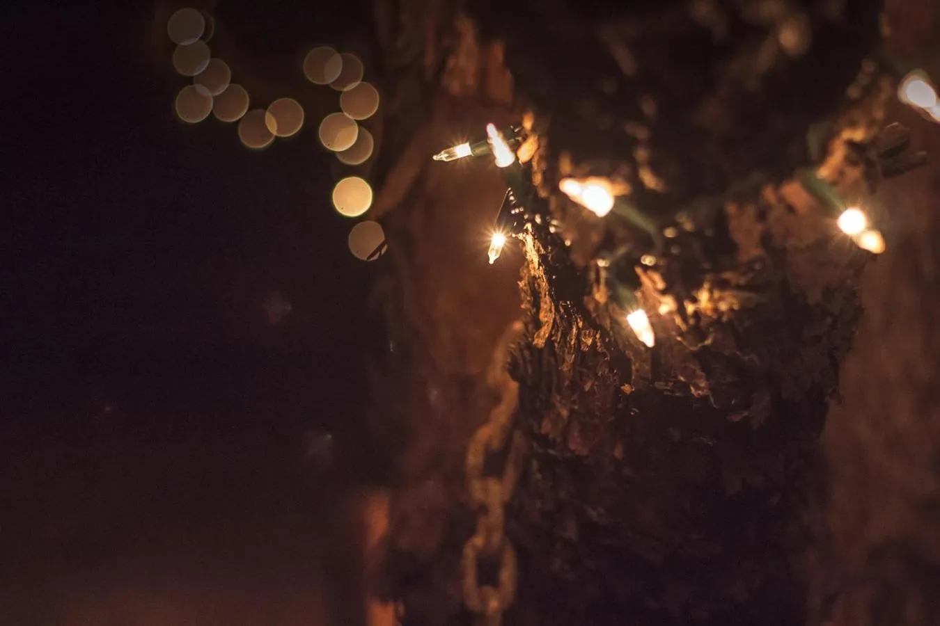 Night in Katie's Cozy Cabins