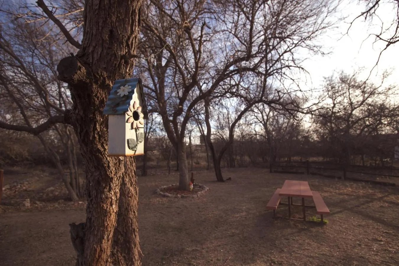 Garden in Katie's Cozy Cabins
