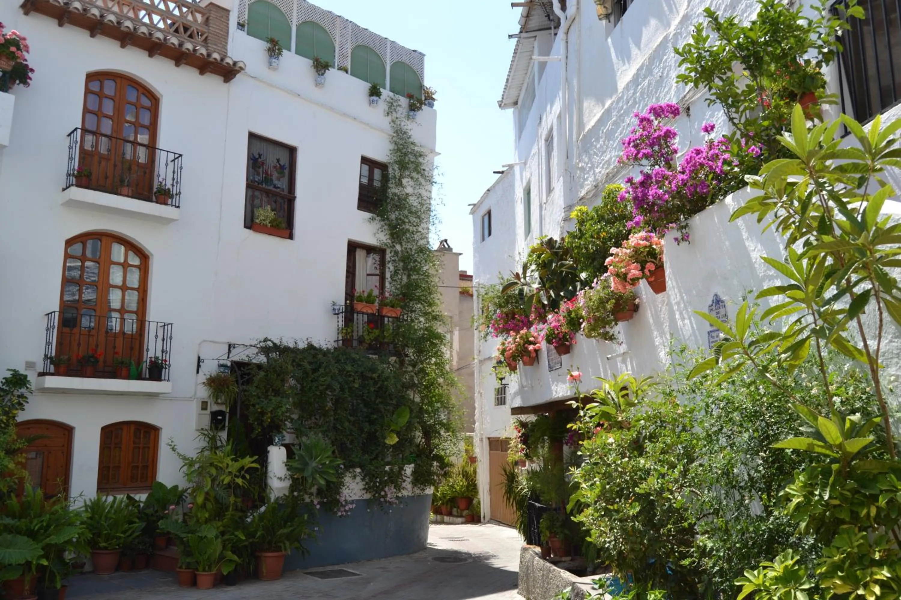 Property building in Hotel Central