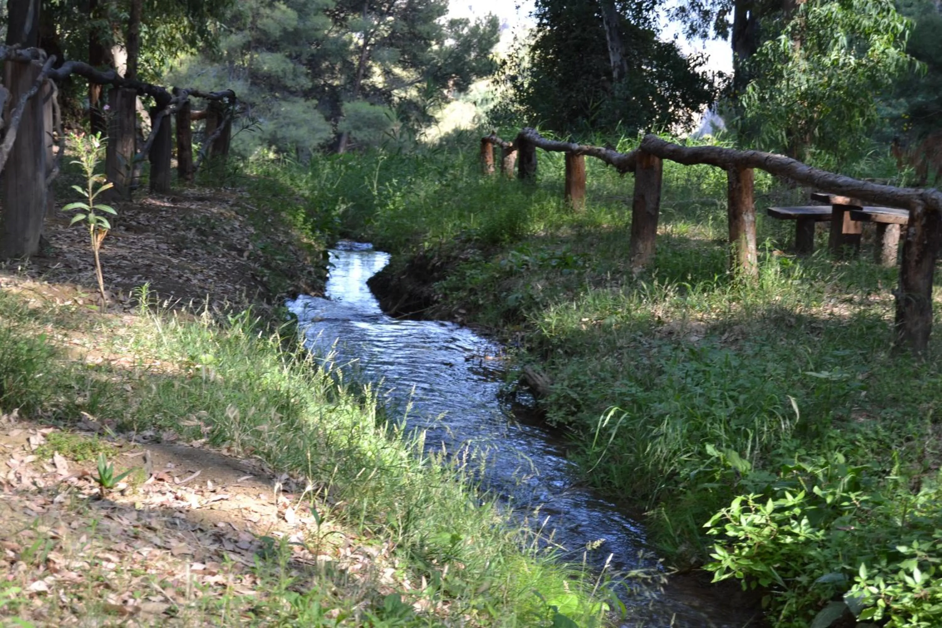 Hiking in Hotel Central