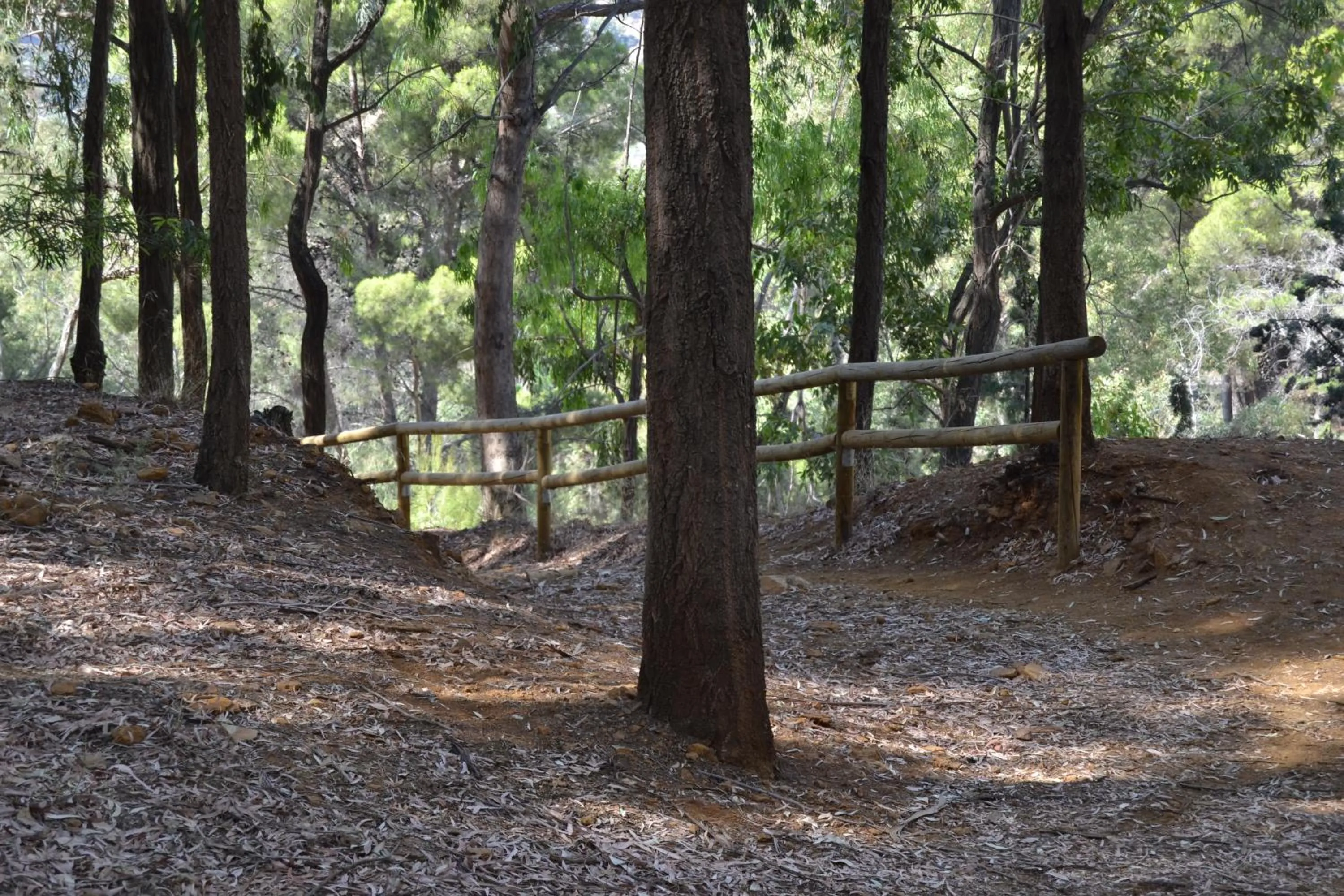 Area and facilities in Hotel Central