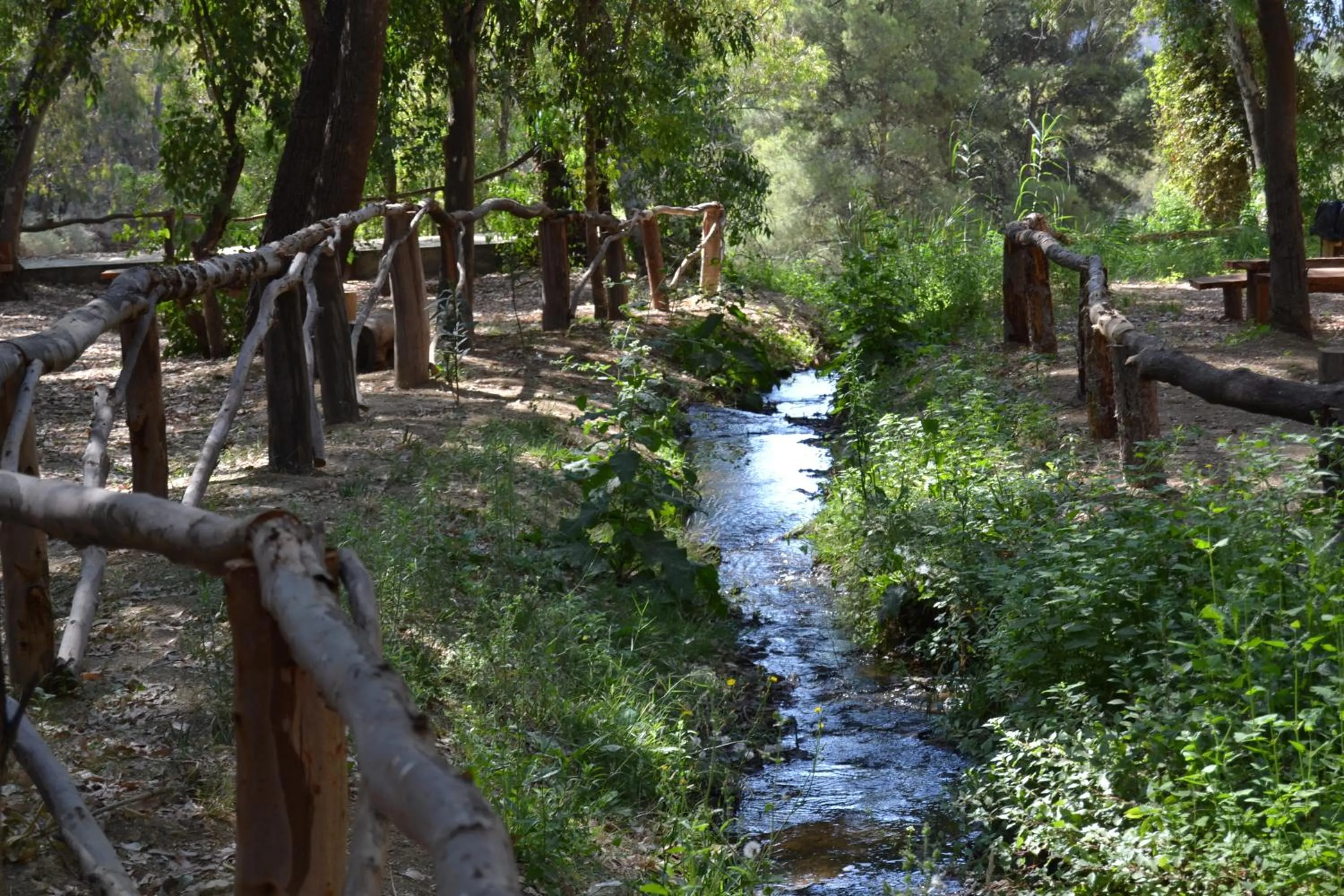 Other in Hotel Central