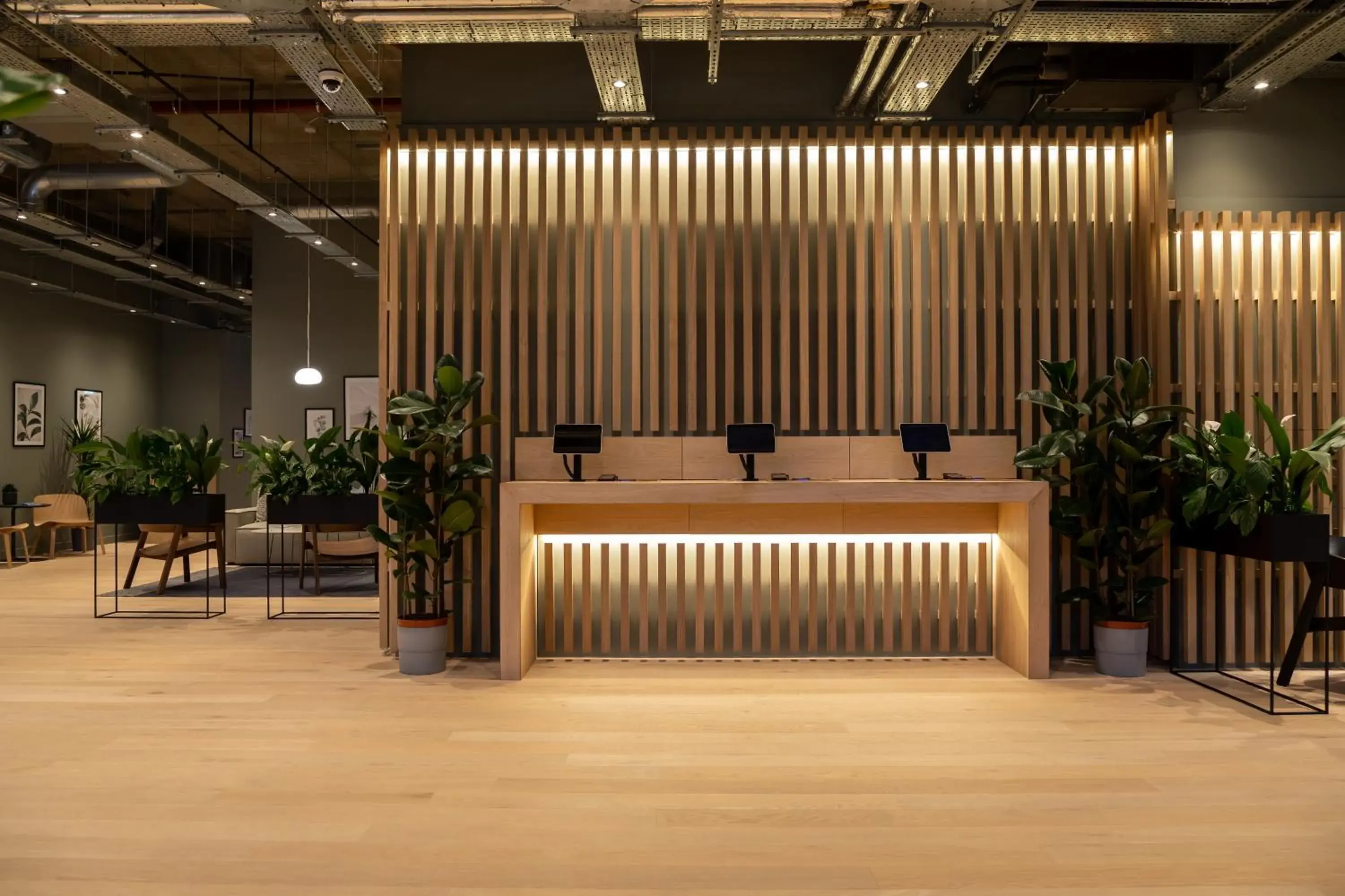 Lobby or reception in Zedwell Hotel Greenwich Lobby or reception in Zedwell Hotel Greenwich