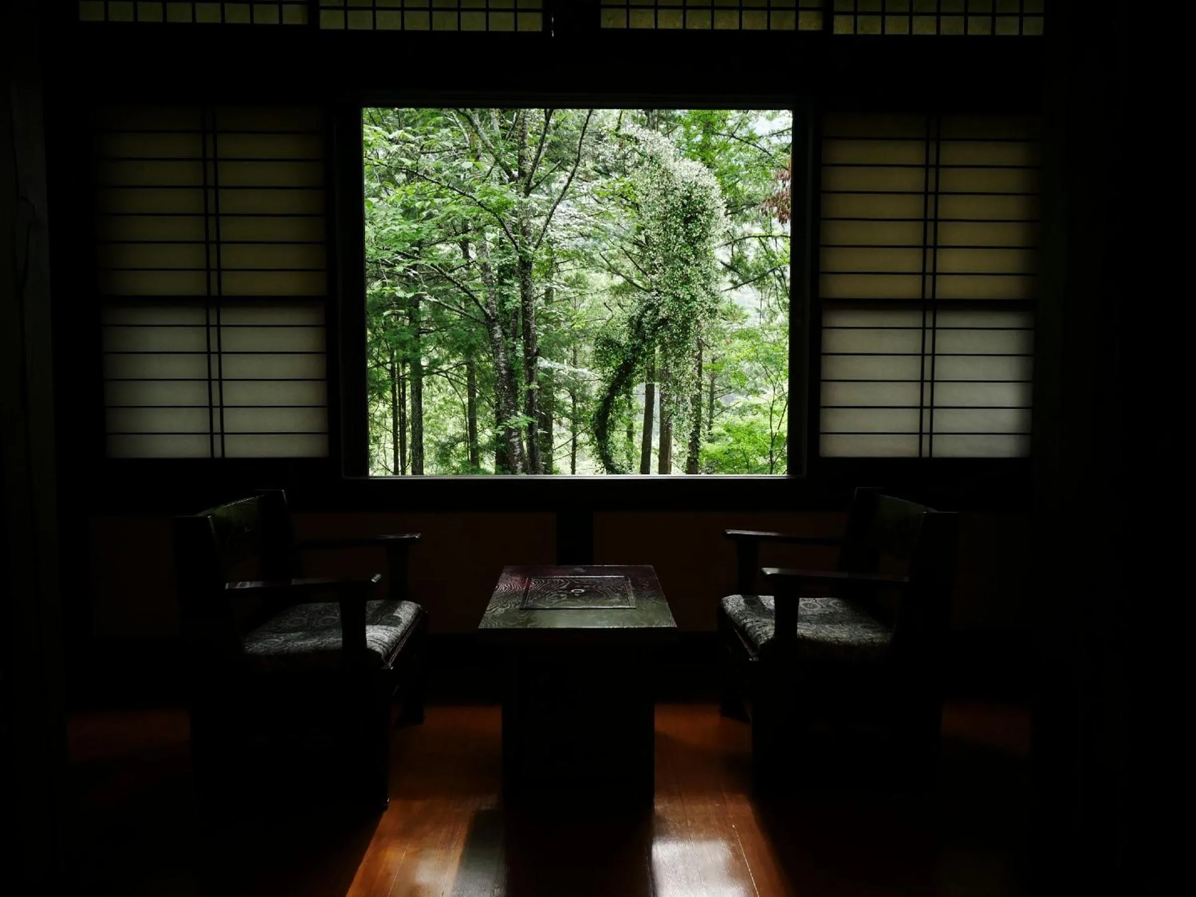 View (from property/room) in Hazu Gassyo