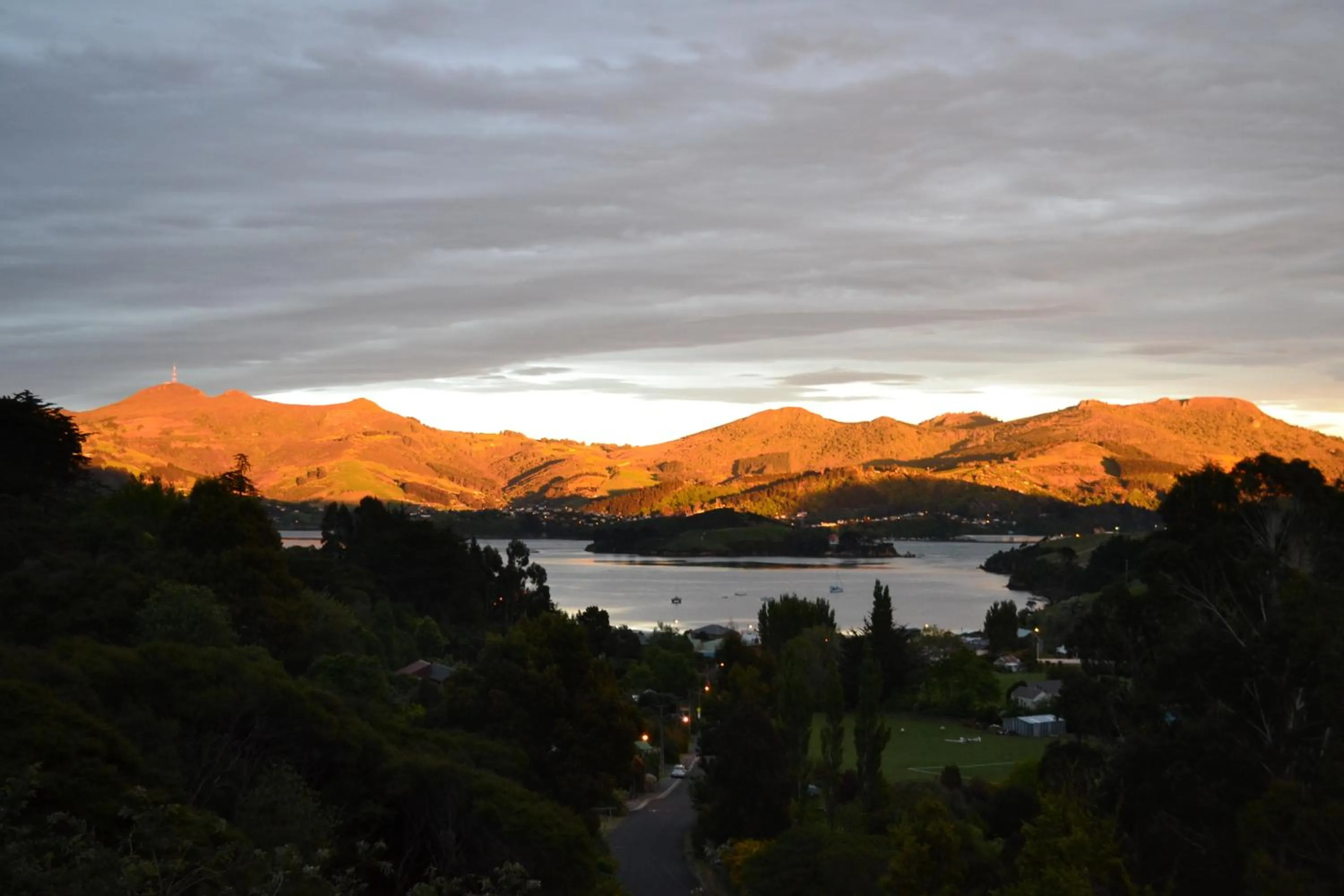 View (from property/room) in Treetops B&B