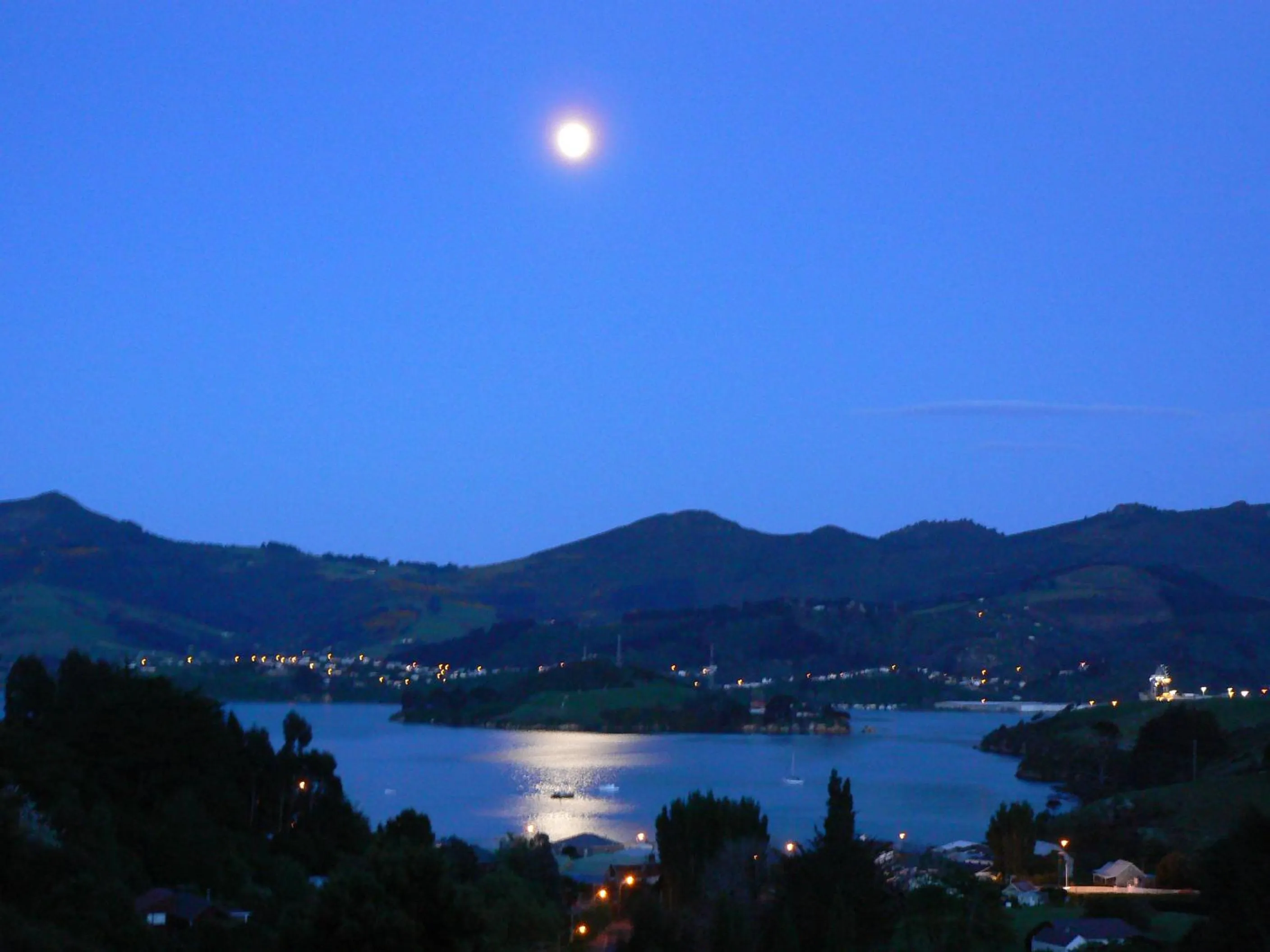 Night in Treetops B&B