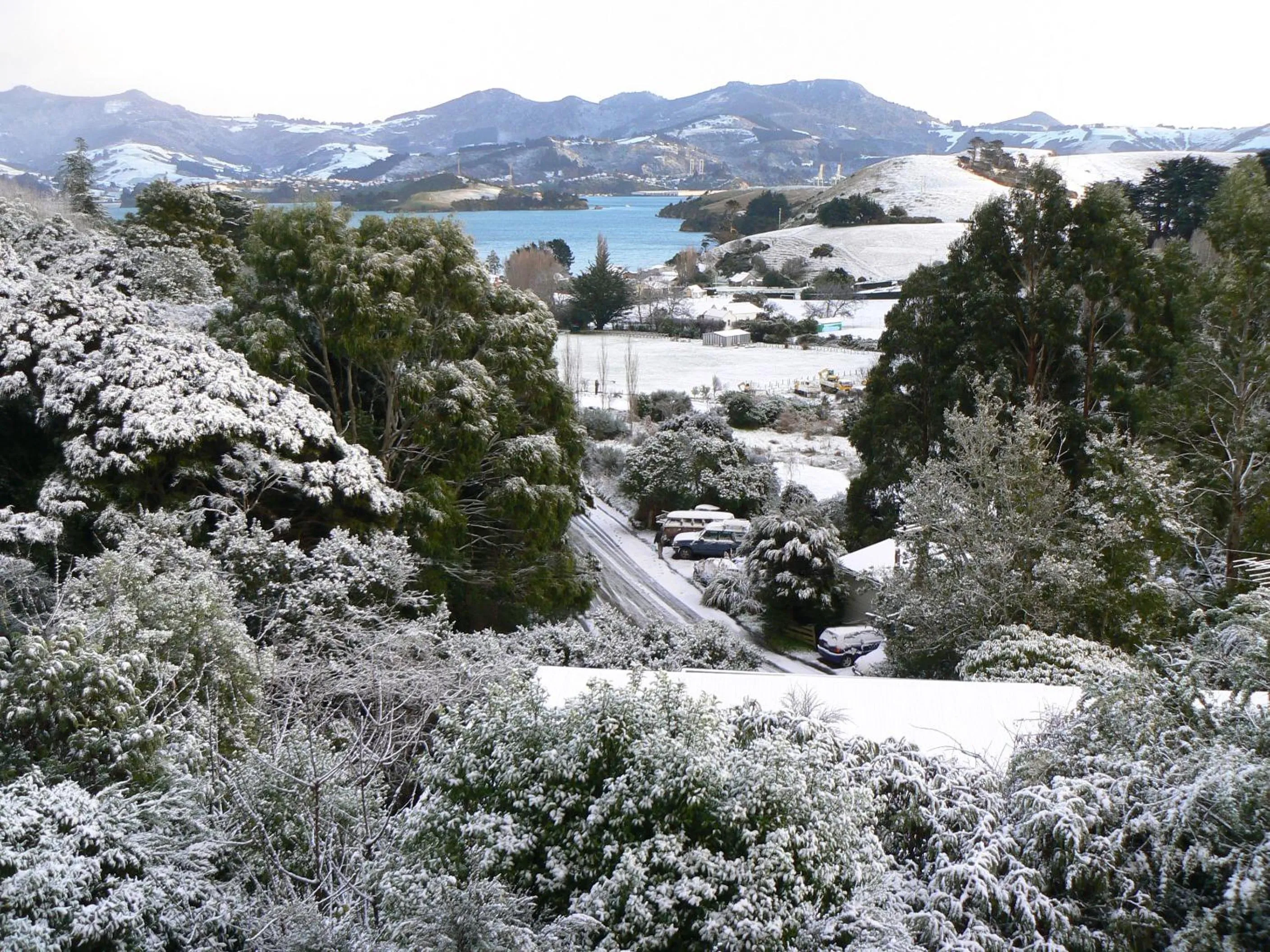 Winter in Treetops B&B