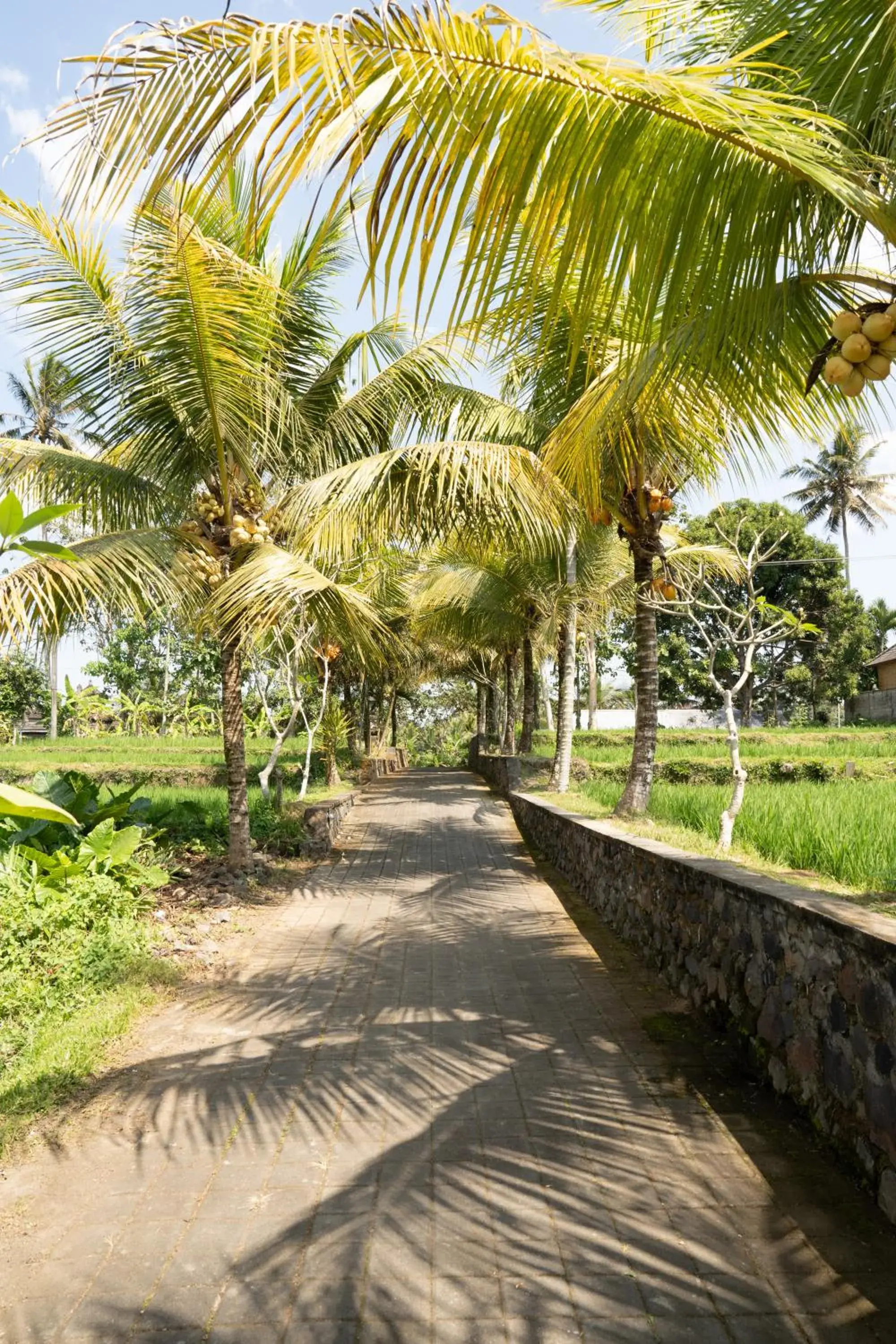 Street view in Meng Bengil Villa Street view in Meng Bengil Villa