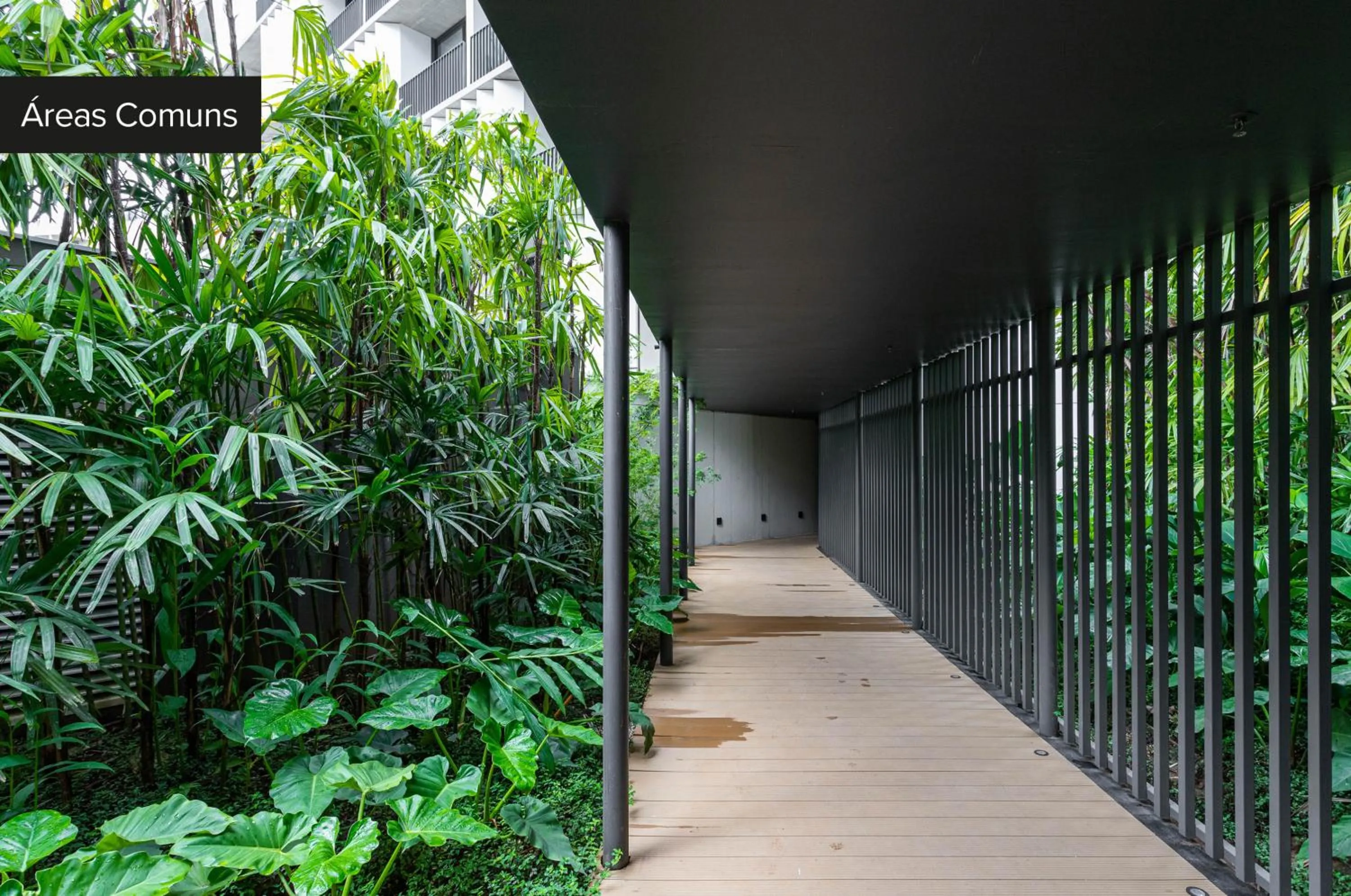 Spring in Charlie Onze22 Vila Madalena