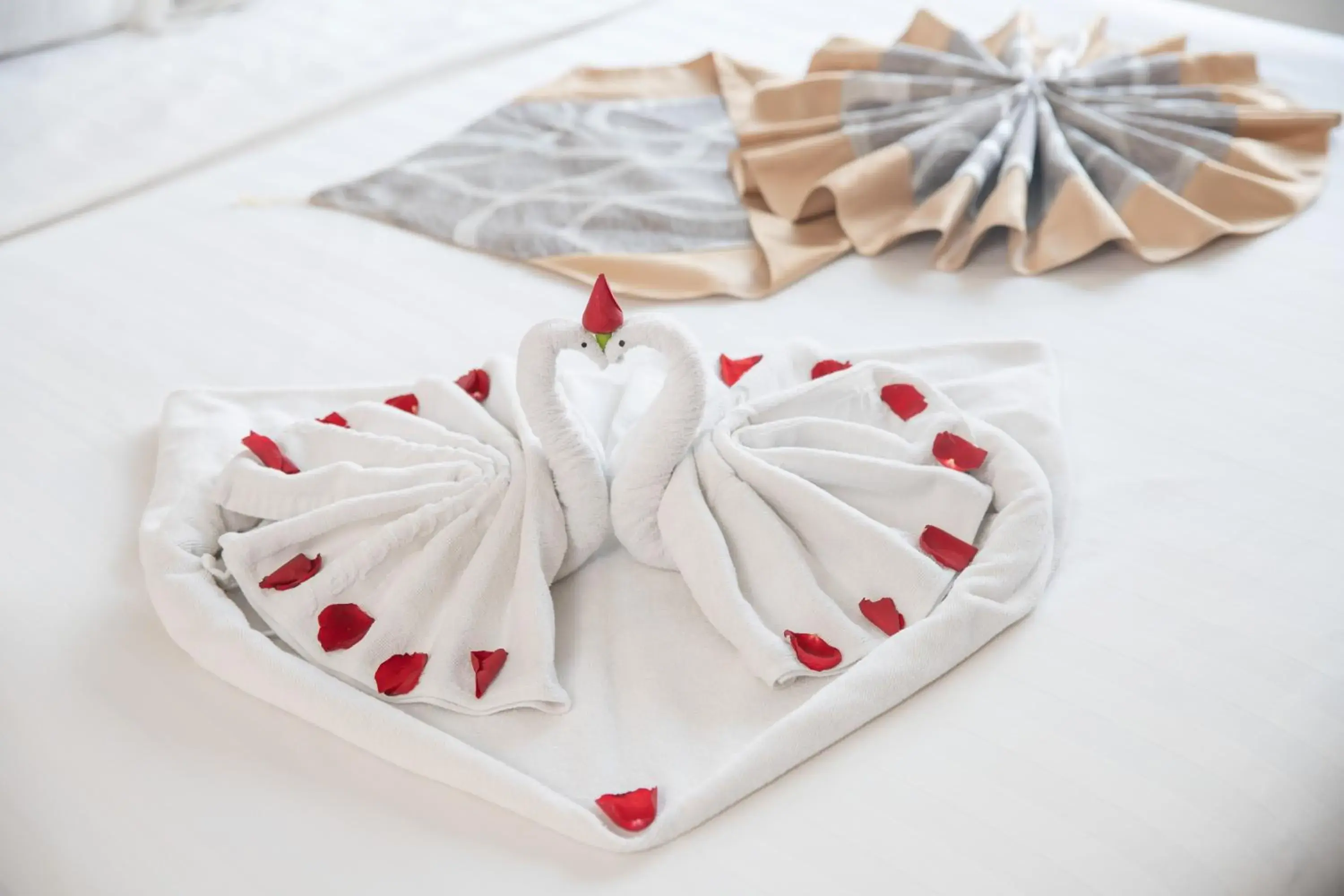 Twin Room with Private Bathroom in Valencia Da Nang Beach Hotel Twin Room with Private Bathroom in Valencia Da Nang Beach Hotel