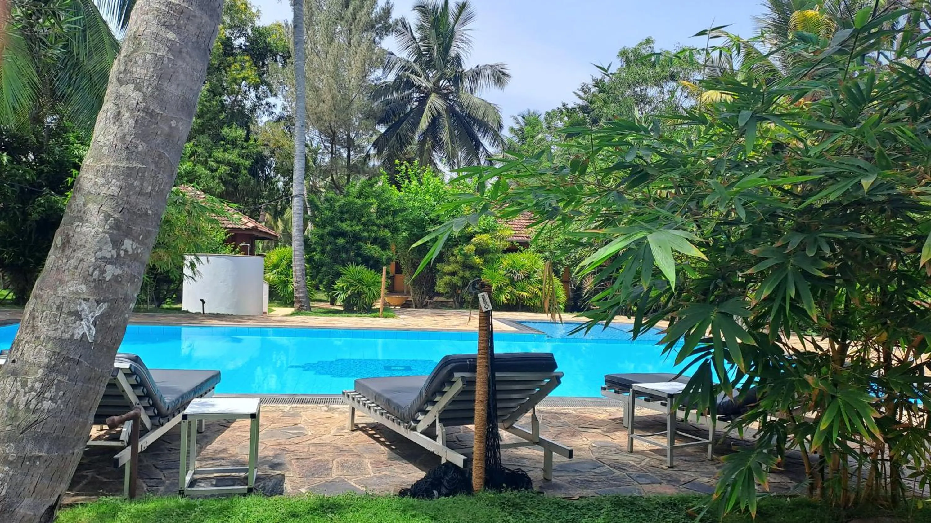 Garden in Puetz Travels Beach Resort