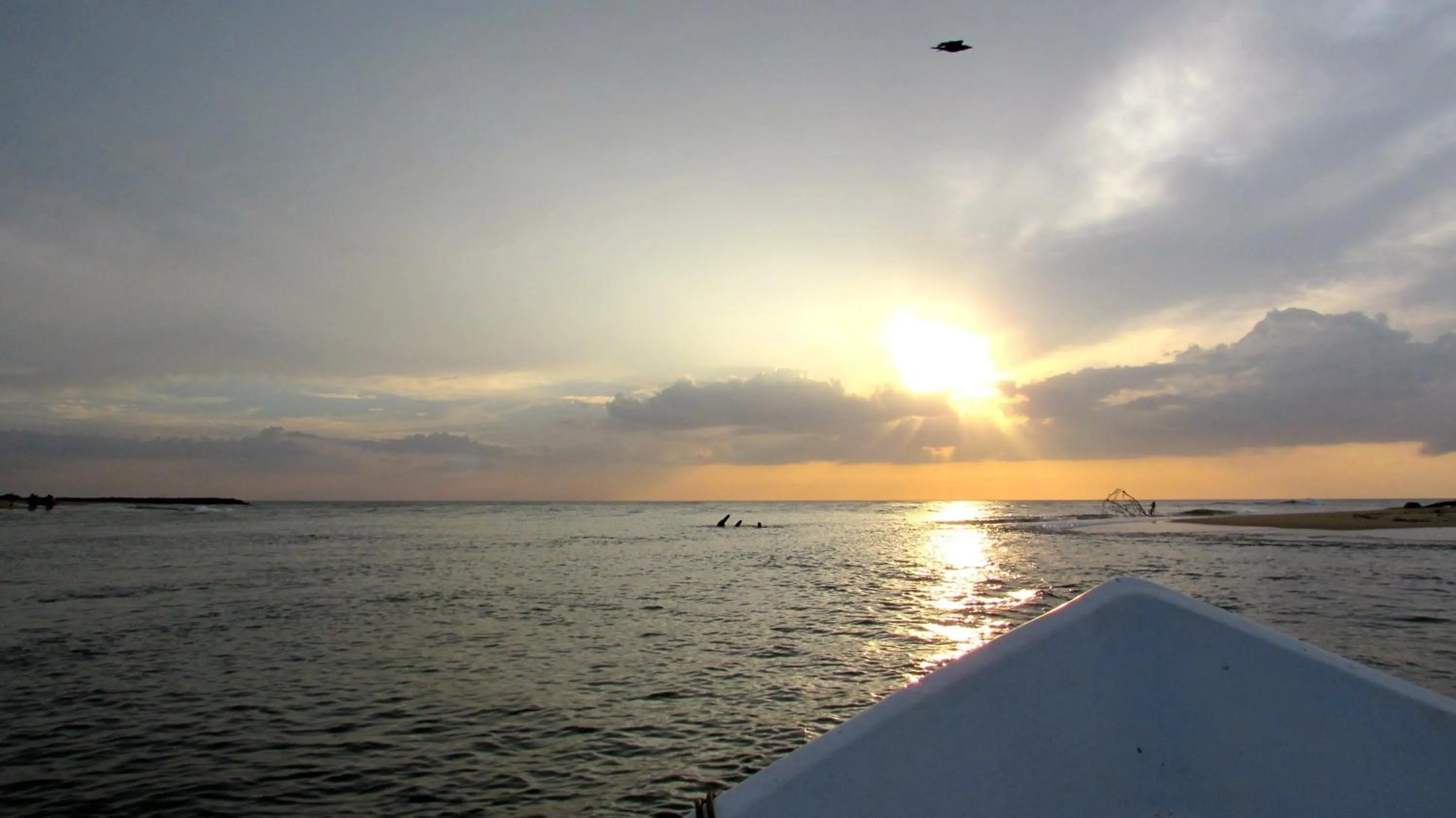 Beach in Puetz Travels Beach Resort