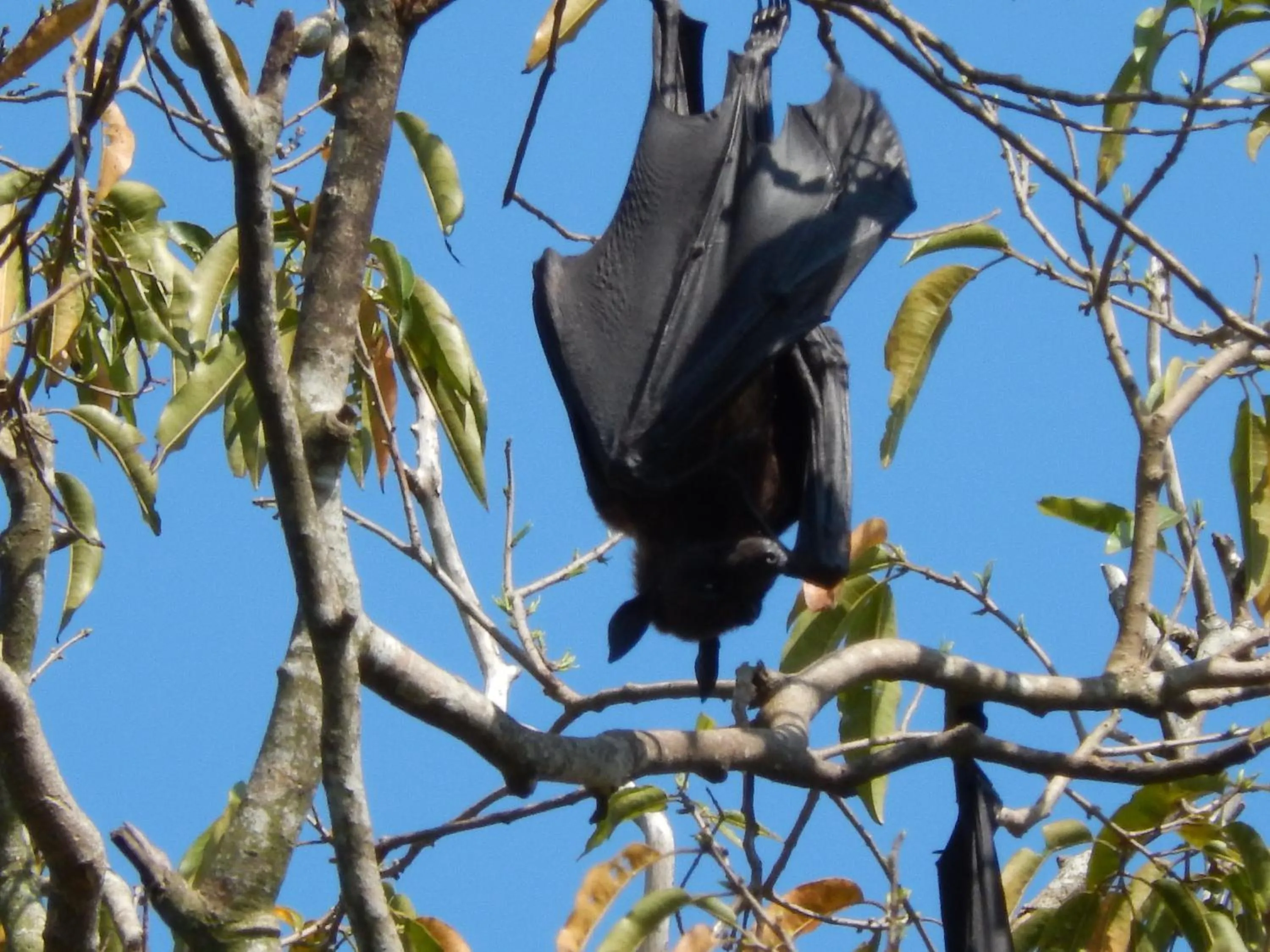 Area and facilities in Puetz Travels Beach Resort