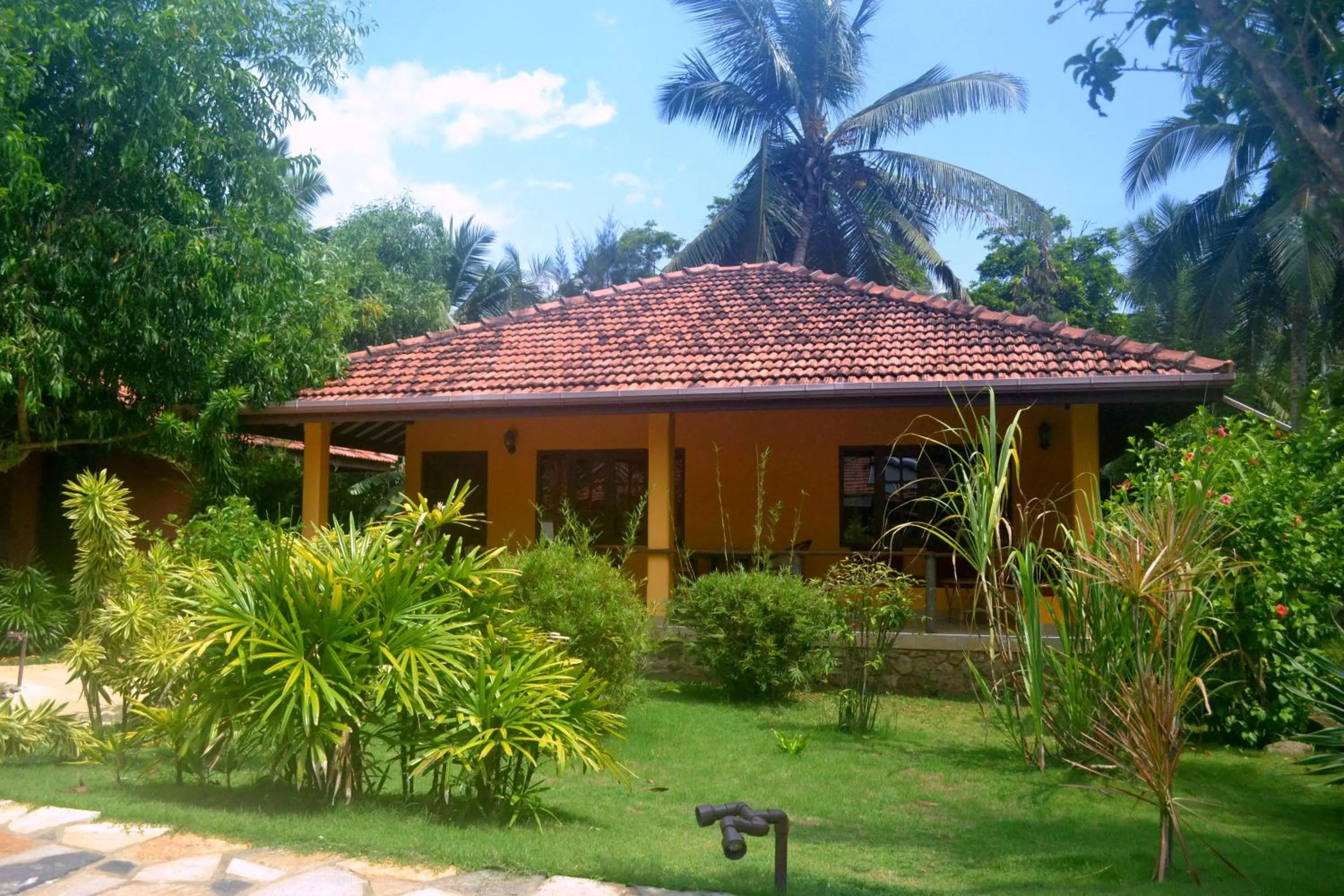 Garden in Puetz Travels Beach Resort