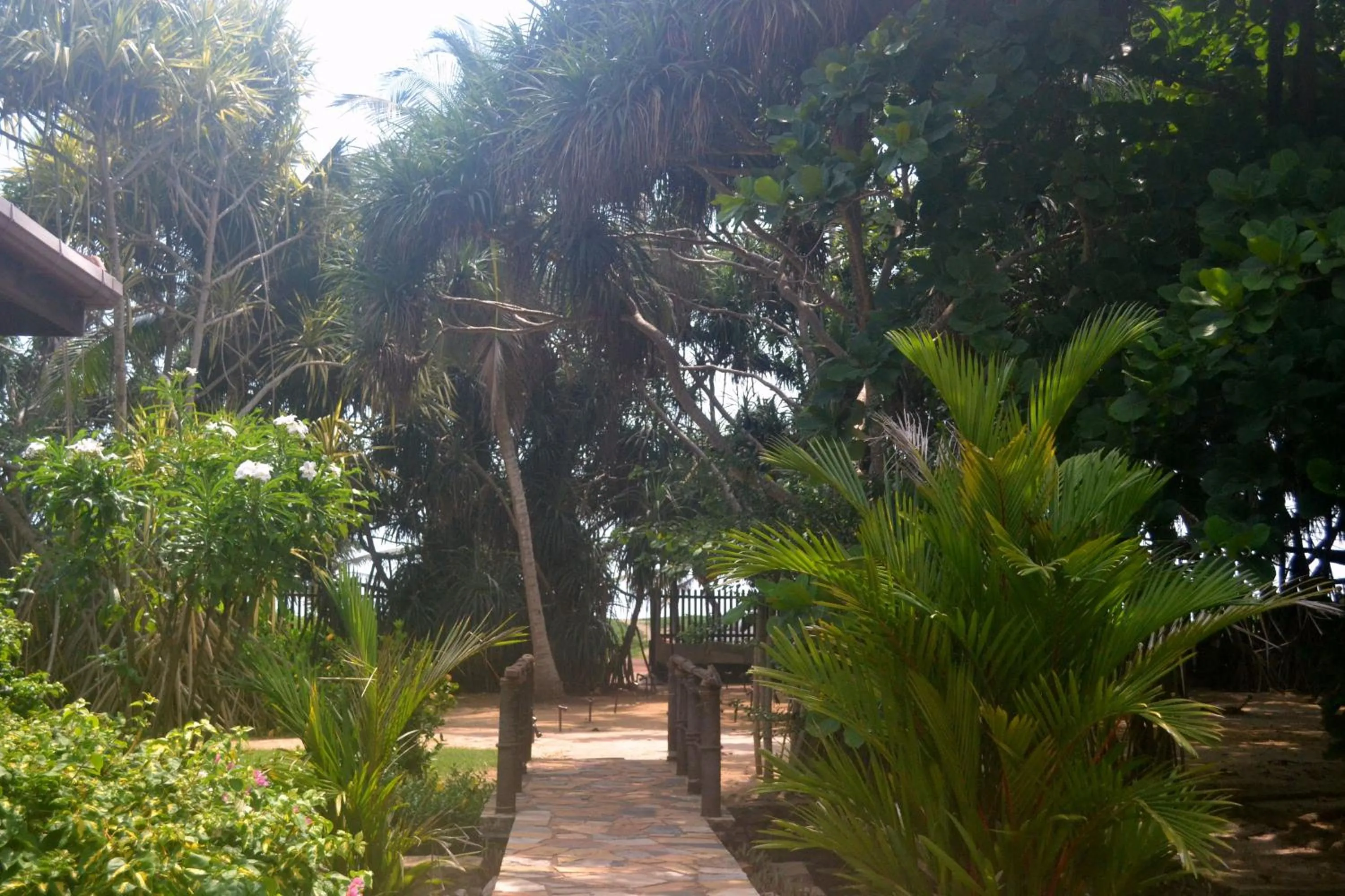 Garden in Puetz Travels Beach Resort