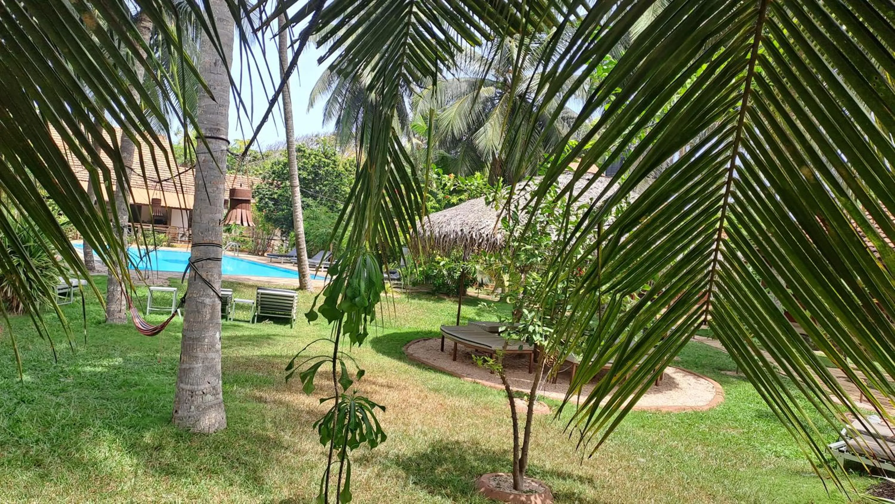 Garden in Puetz Travels Beach Resort