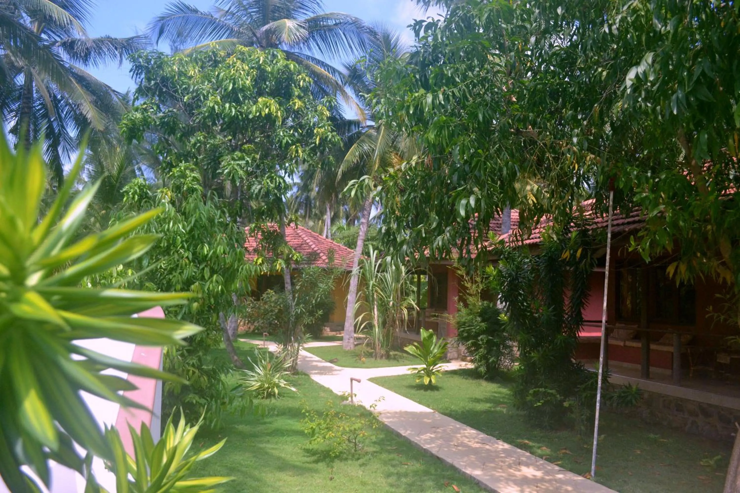 Garden in Puetz Travels Beach Resort