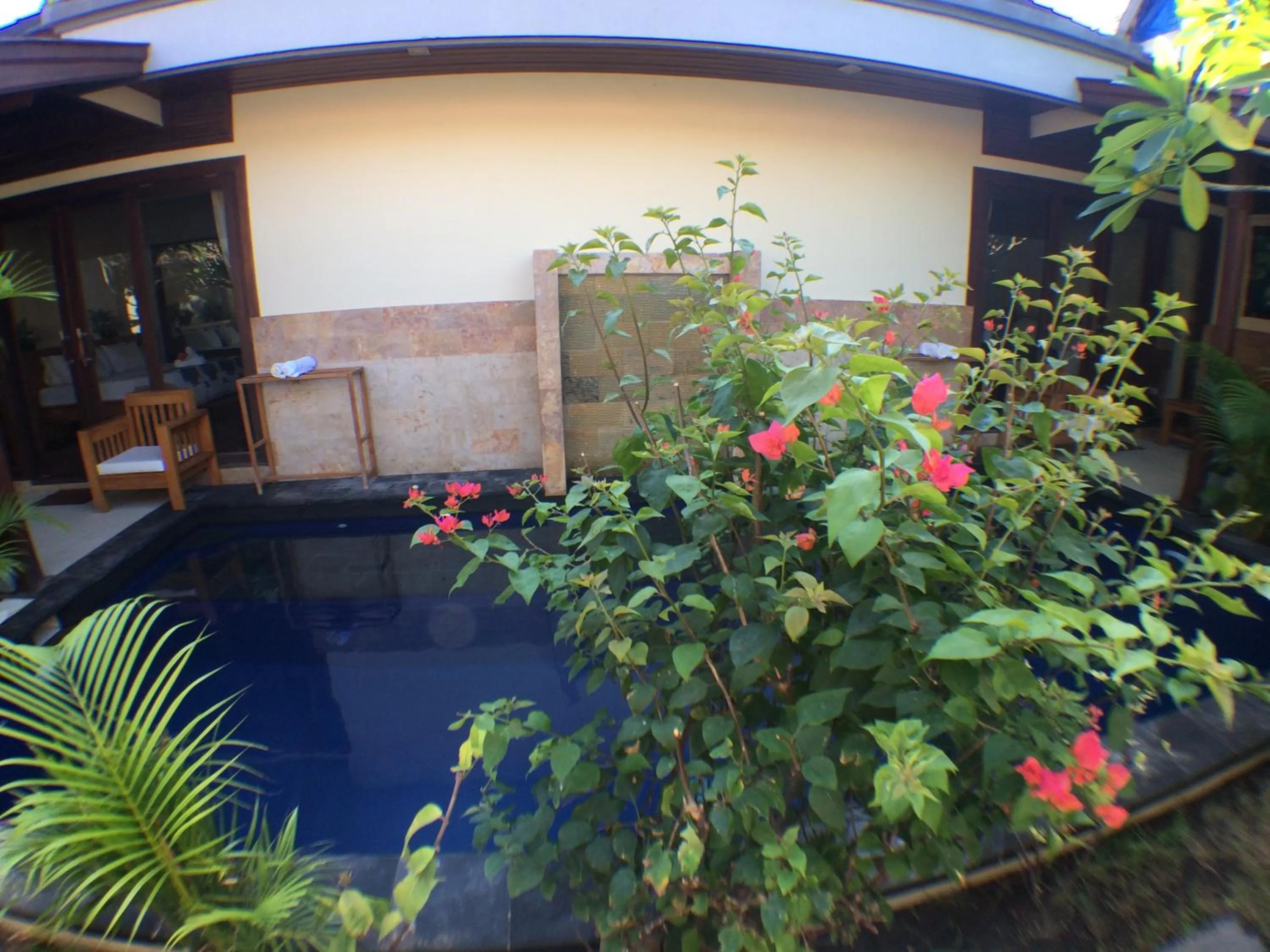 Pool view in Villa Sahabat