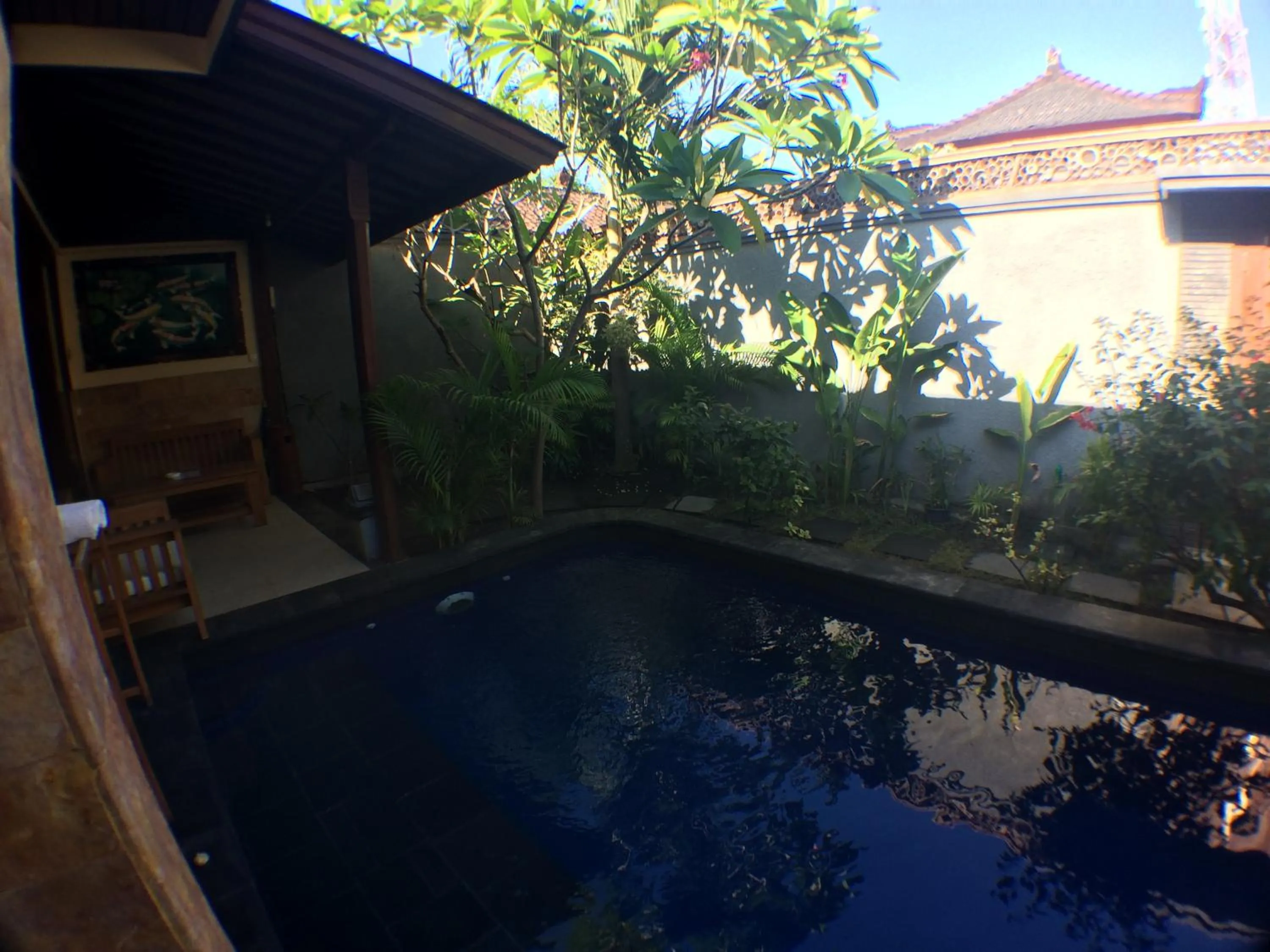 Garden view in Villa Sahabat