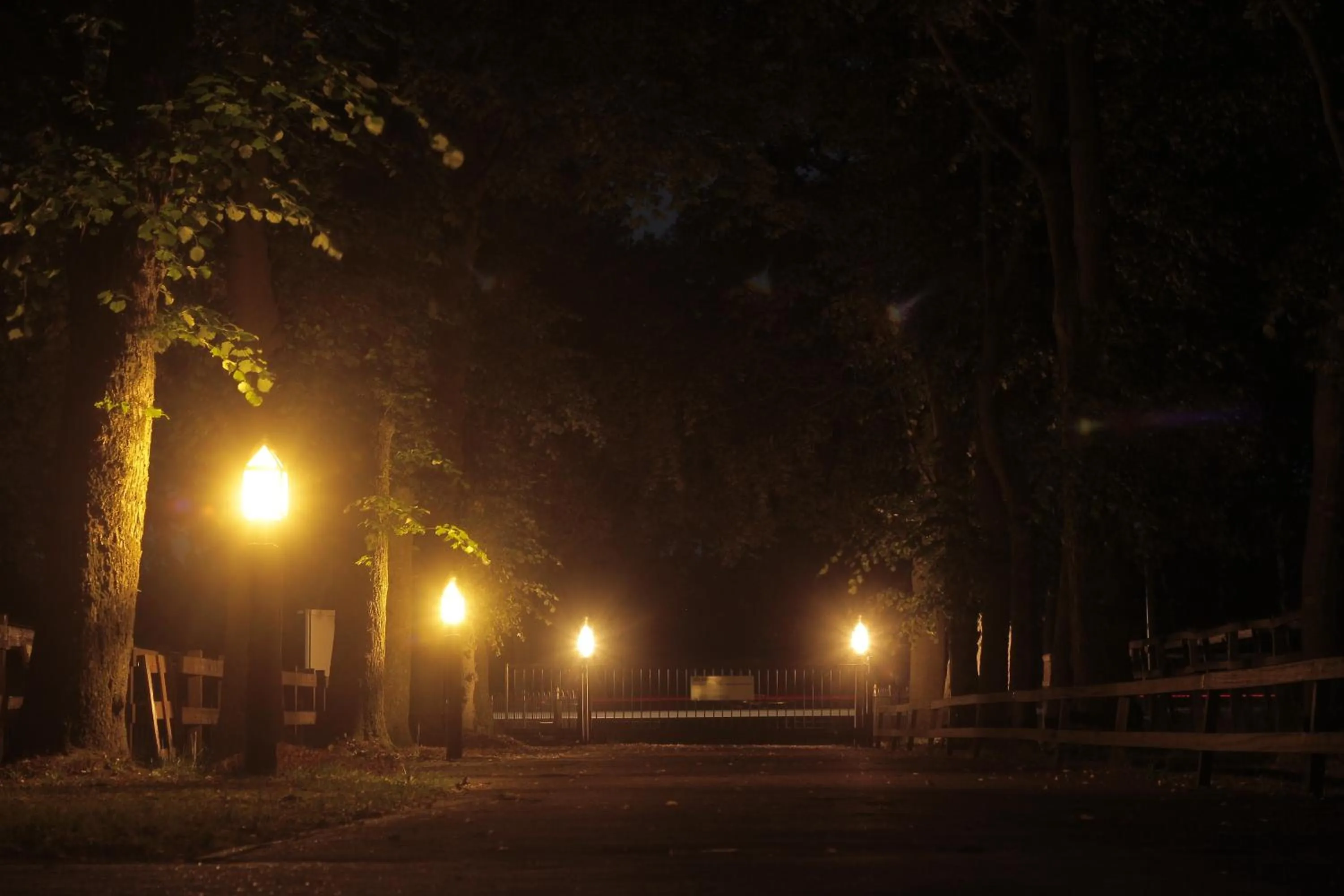 Facade/entrance in Human & Horse Hotel