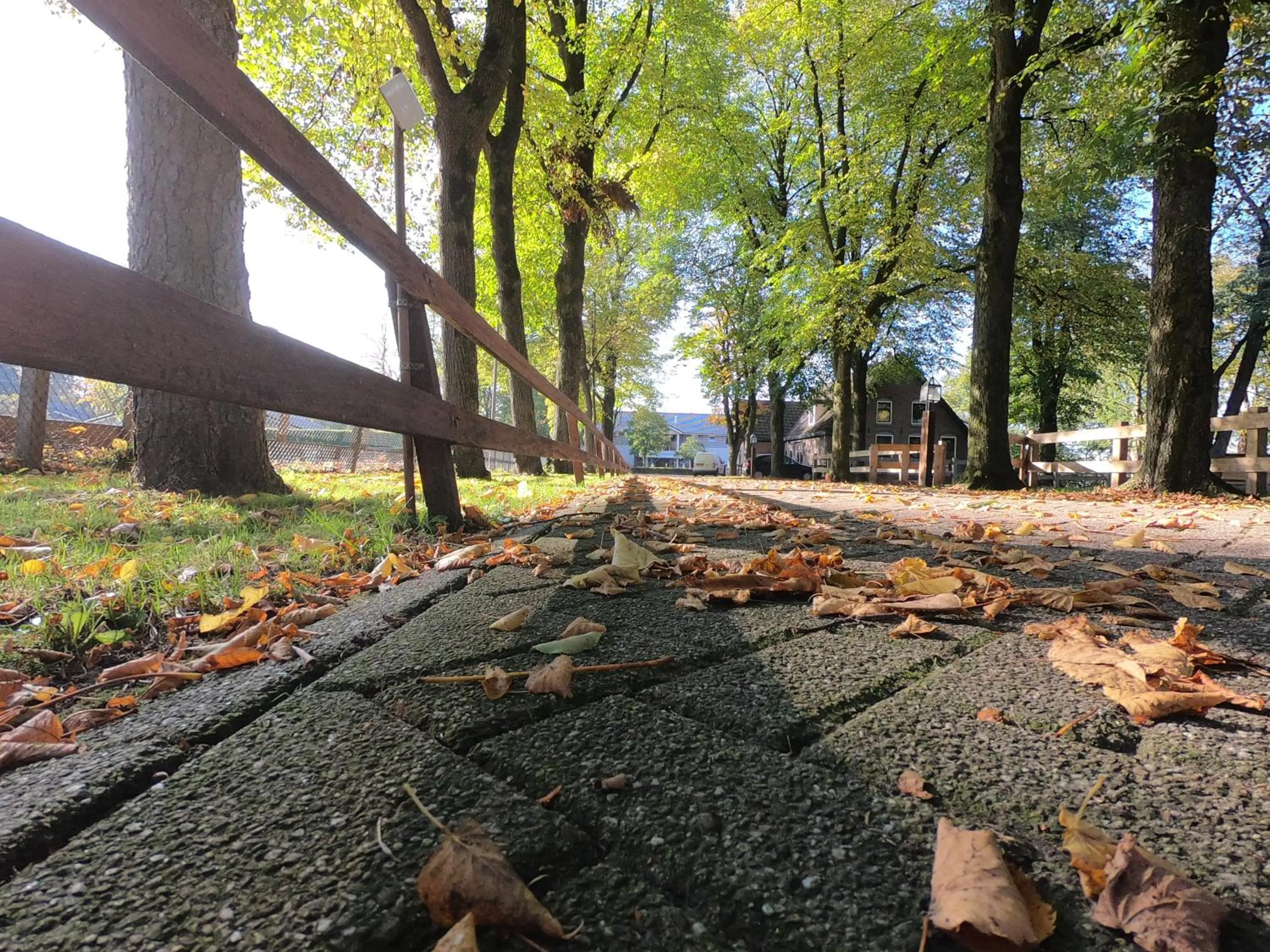 Natural landscape in Human & Horse Hotel