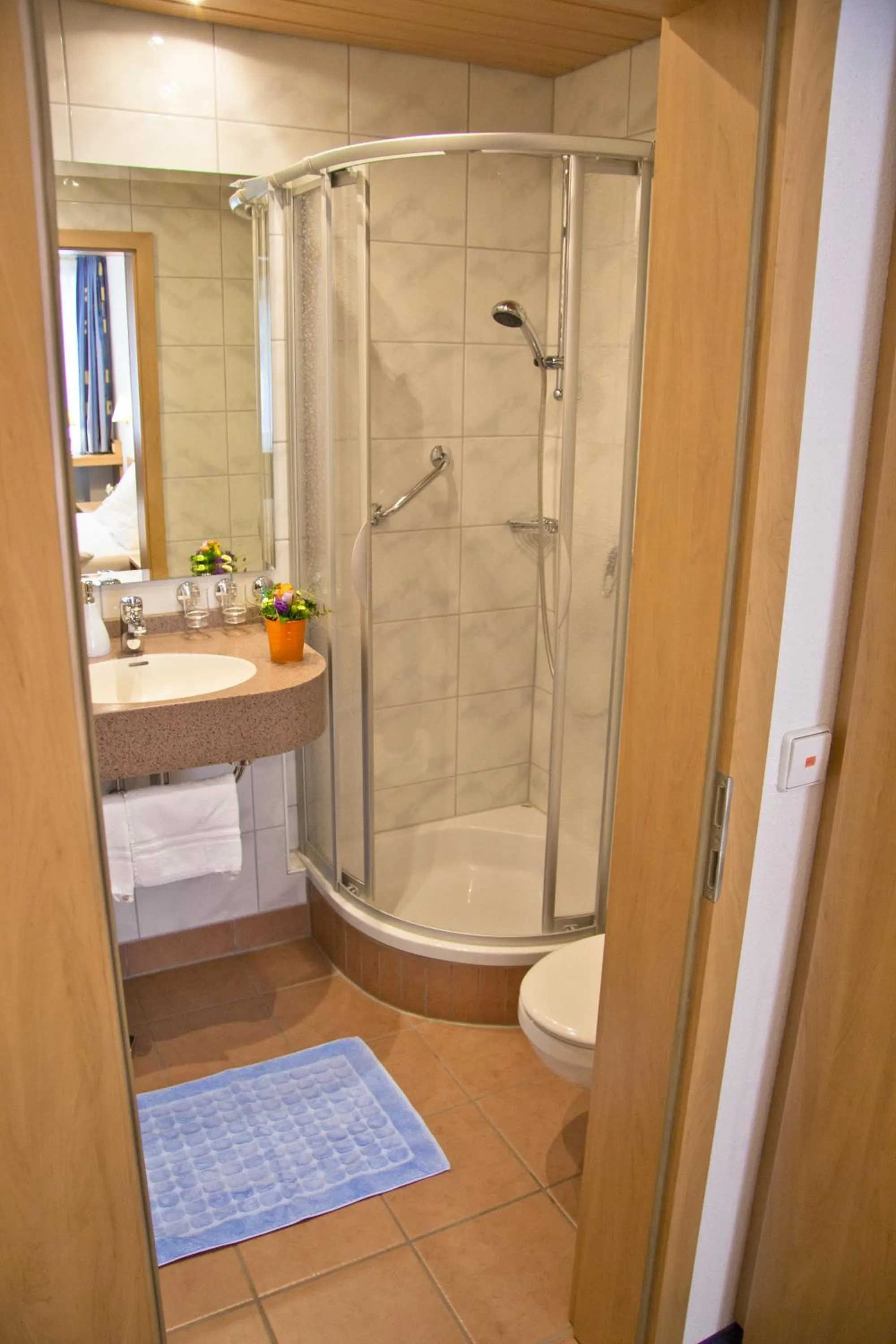 Shower in Hotel Krone